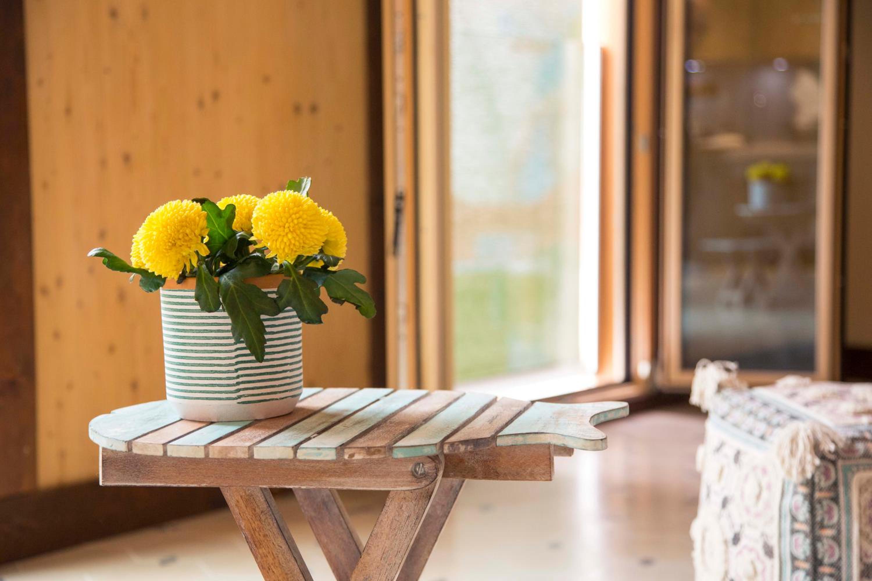 The Wooden House VV