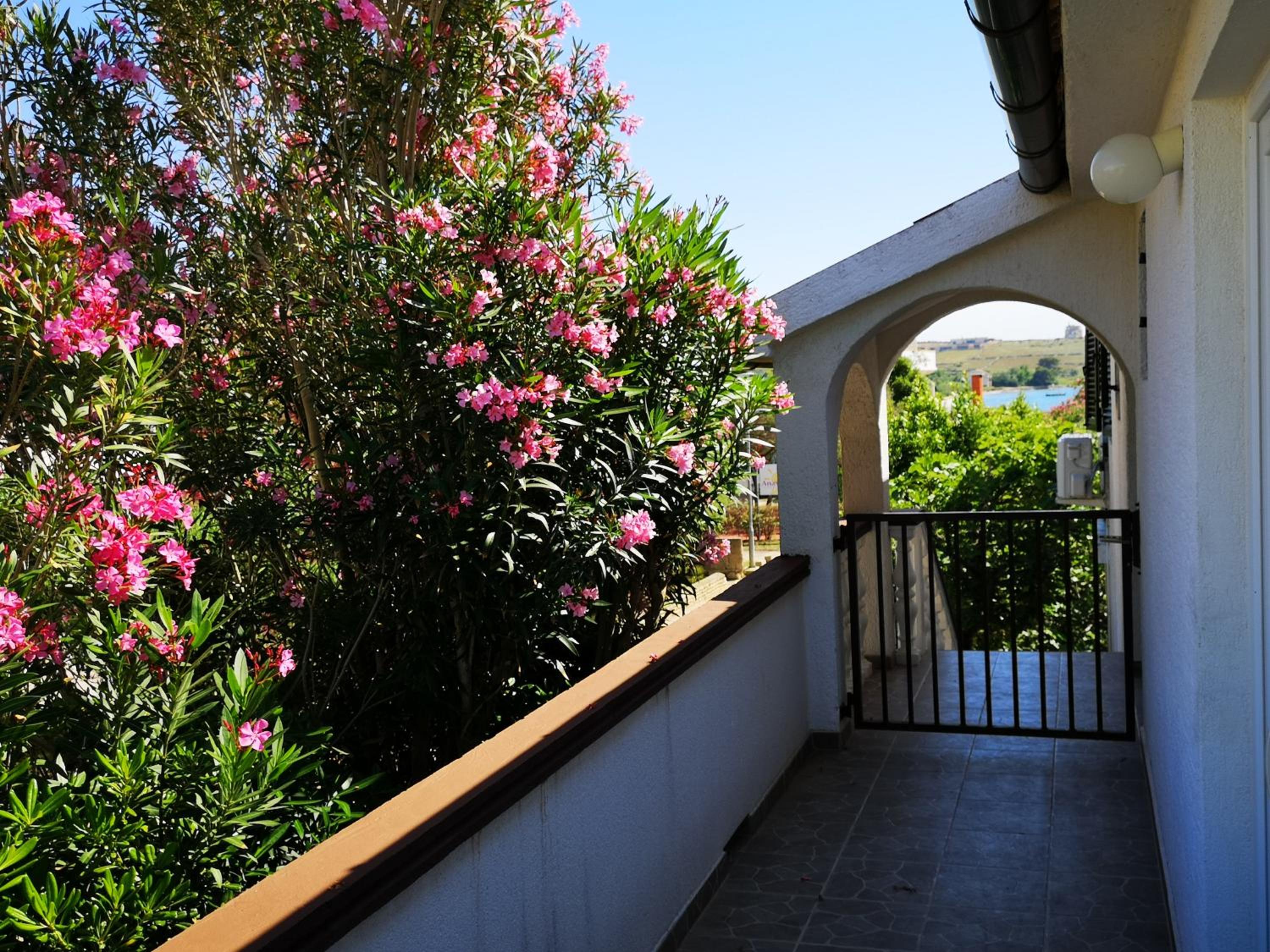 Apartments MINT Povljana - 50m from sandy beach view 2