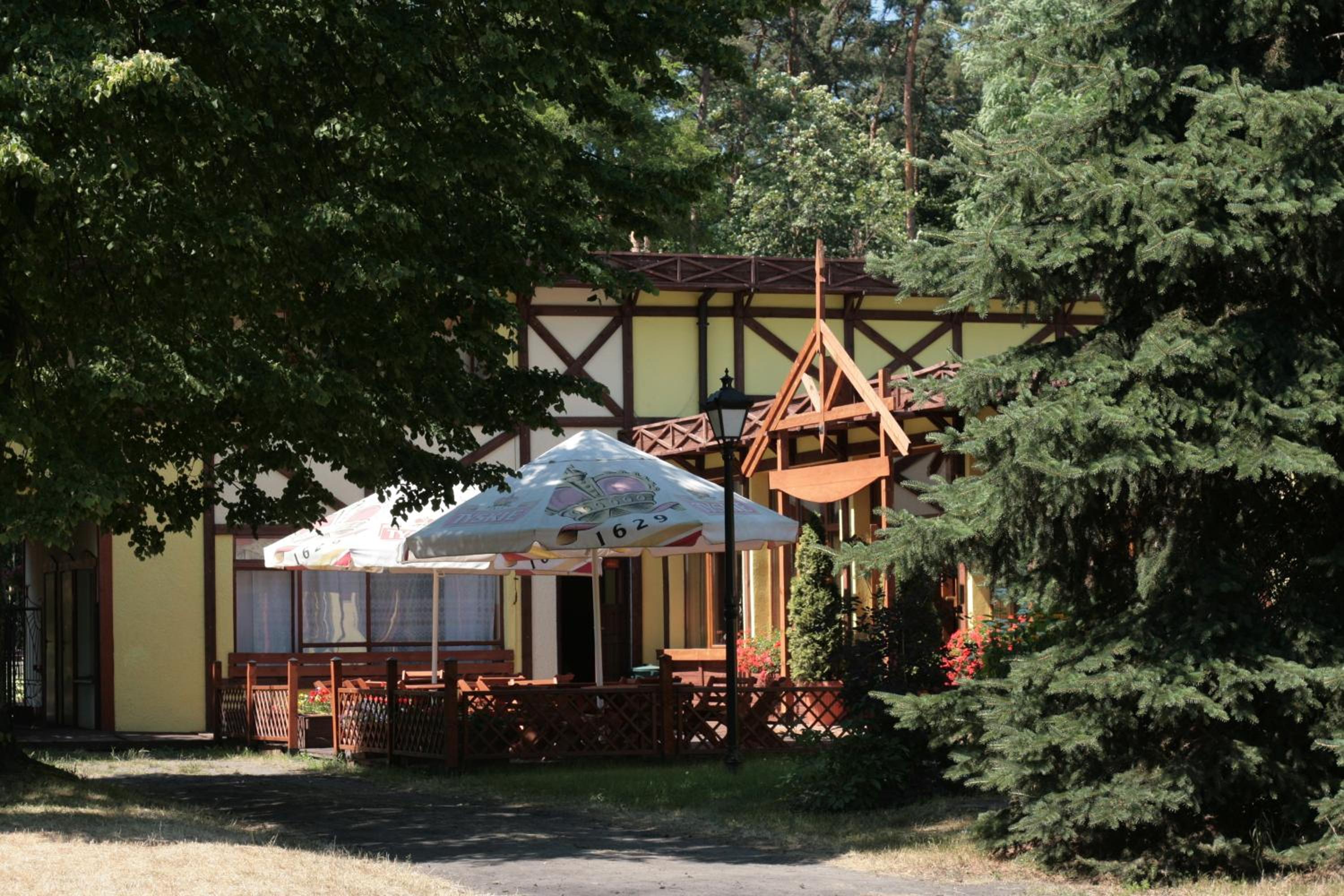 Photo 11
