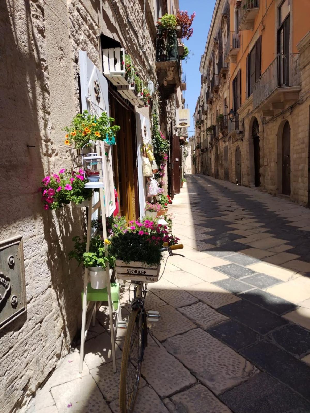 Iris Apartment, comfort e stile nel cuore di Bisceglie