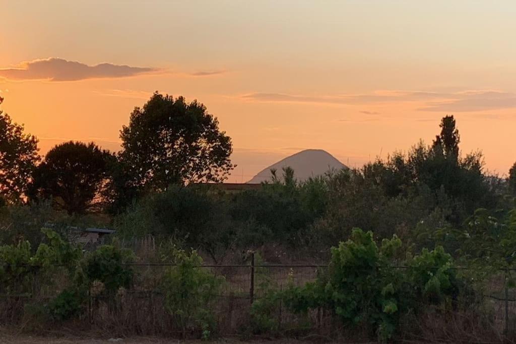 Adam’s house view 2