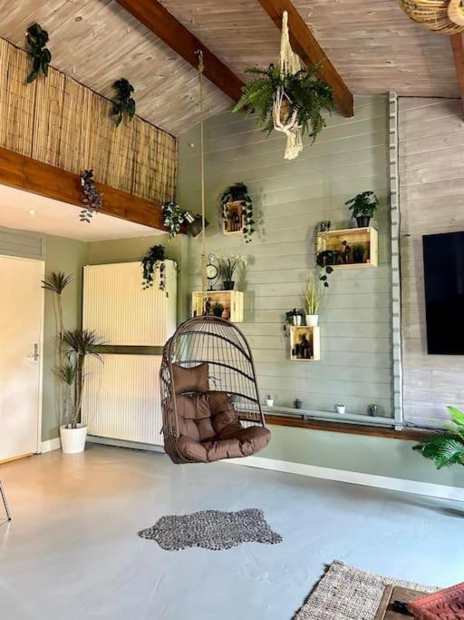 Jungle style lodge with jacuzzi ,sauna and garden near Amsterdam - Property Image 7