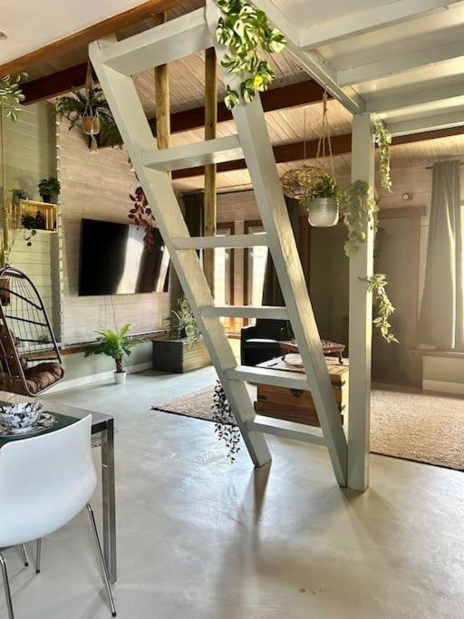 Jungle style lodge with jacuzzi ,sauna and garden near Amsterdam - Property Image 11