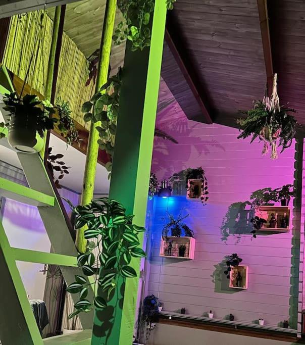 Jungle style lodge with jacuzzi ,sauna and garden near Amsterdam - Property Image 16