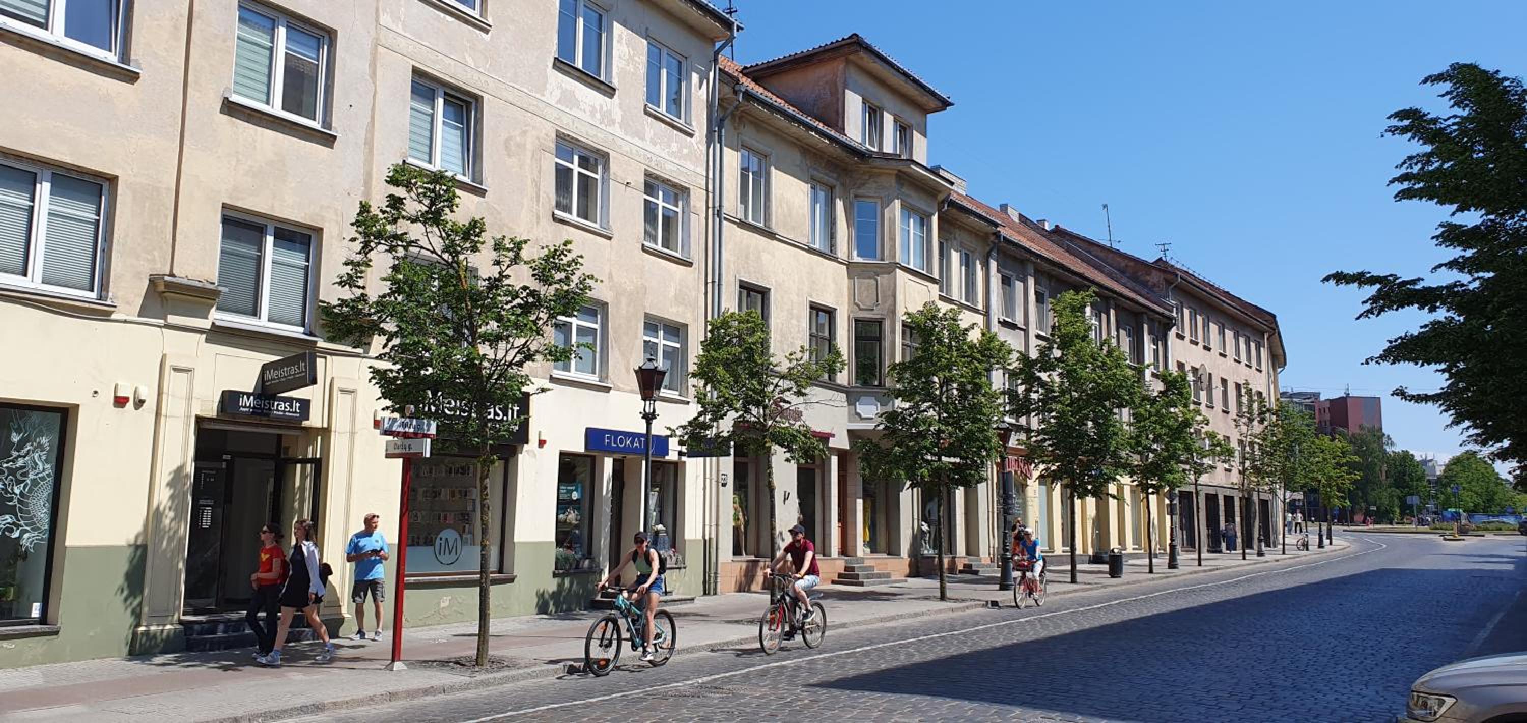 Kalnelio Apartment