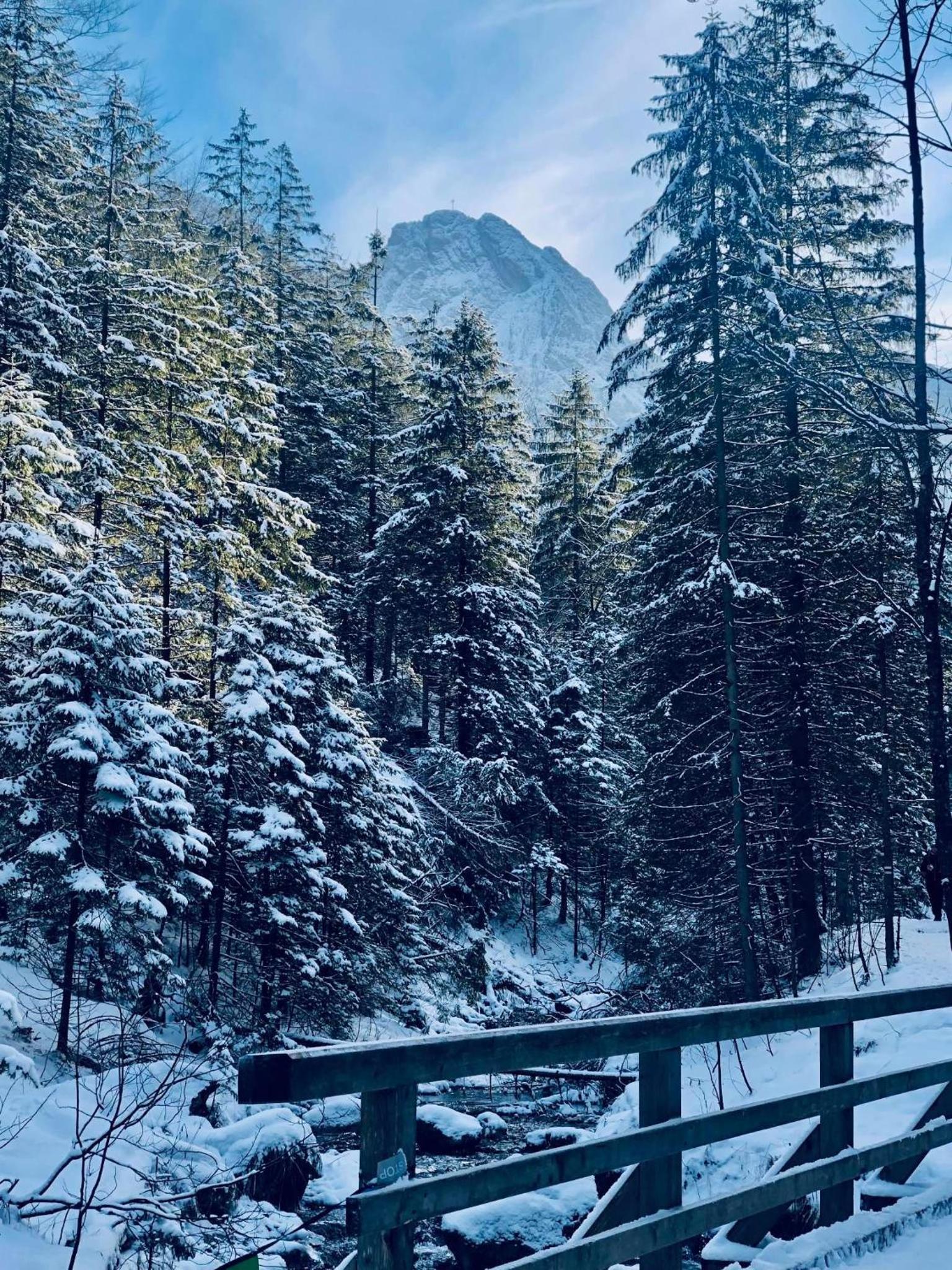 Giewont Mountain View Apartment
