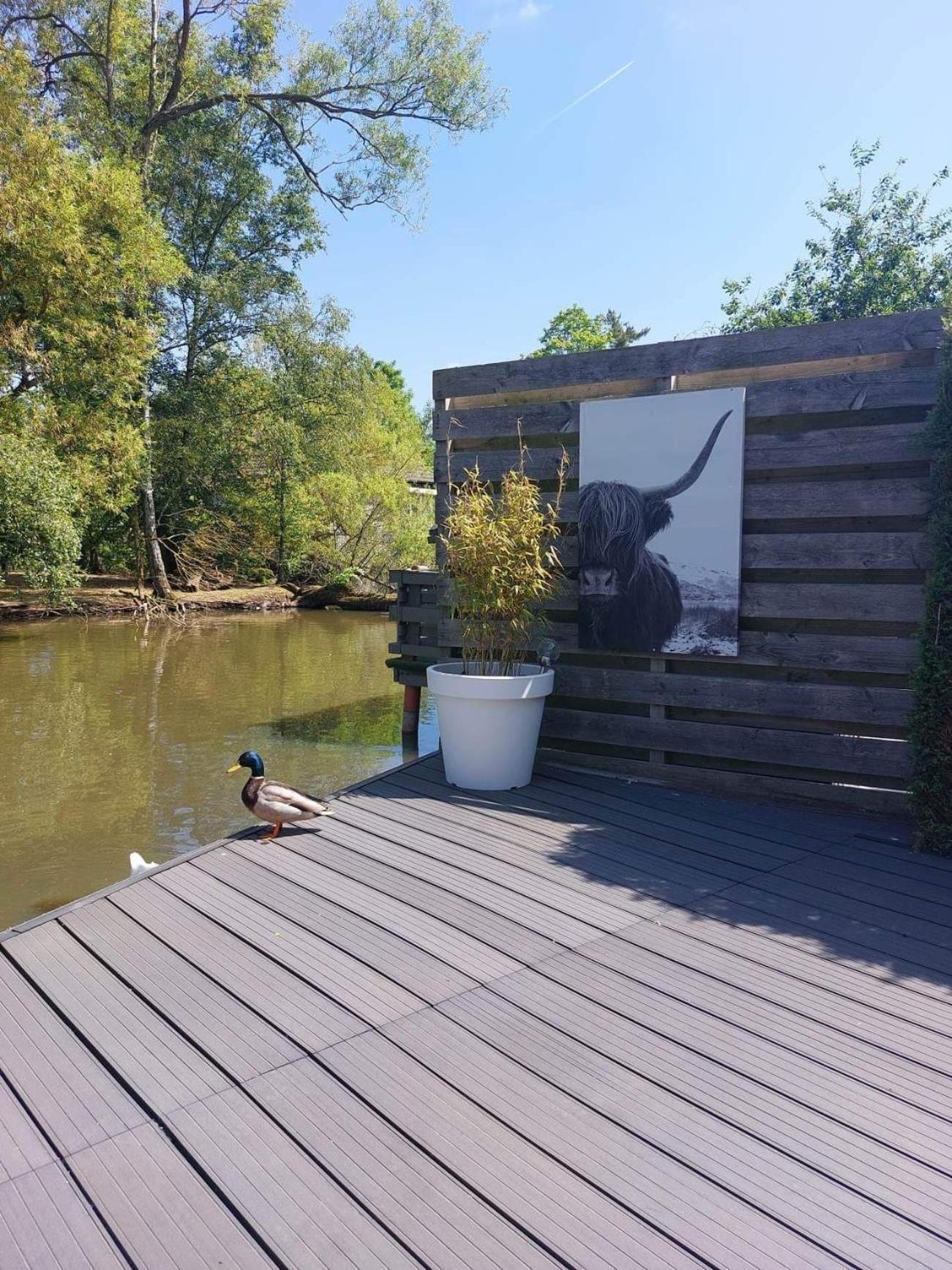 Time 2 Relax chalet aan het water
