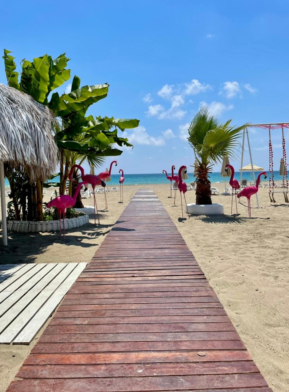 SA Apartments! 2BD Flat 150m to the Beach view 5