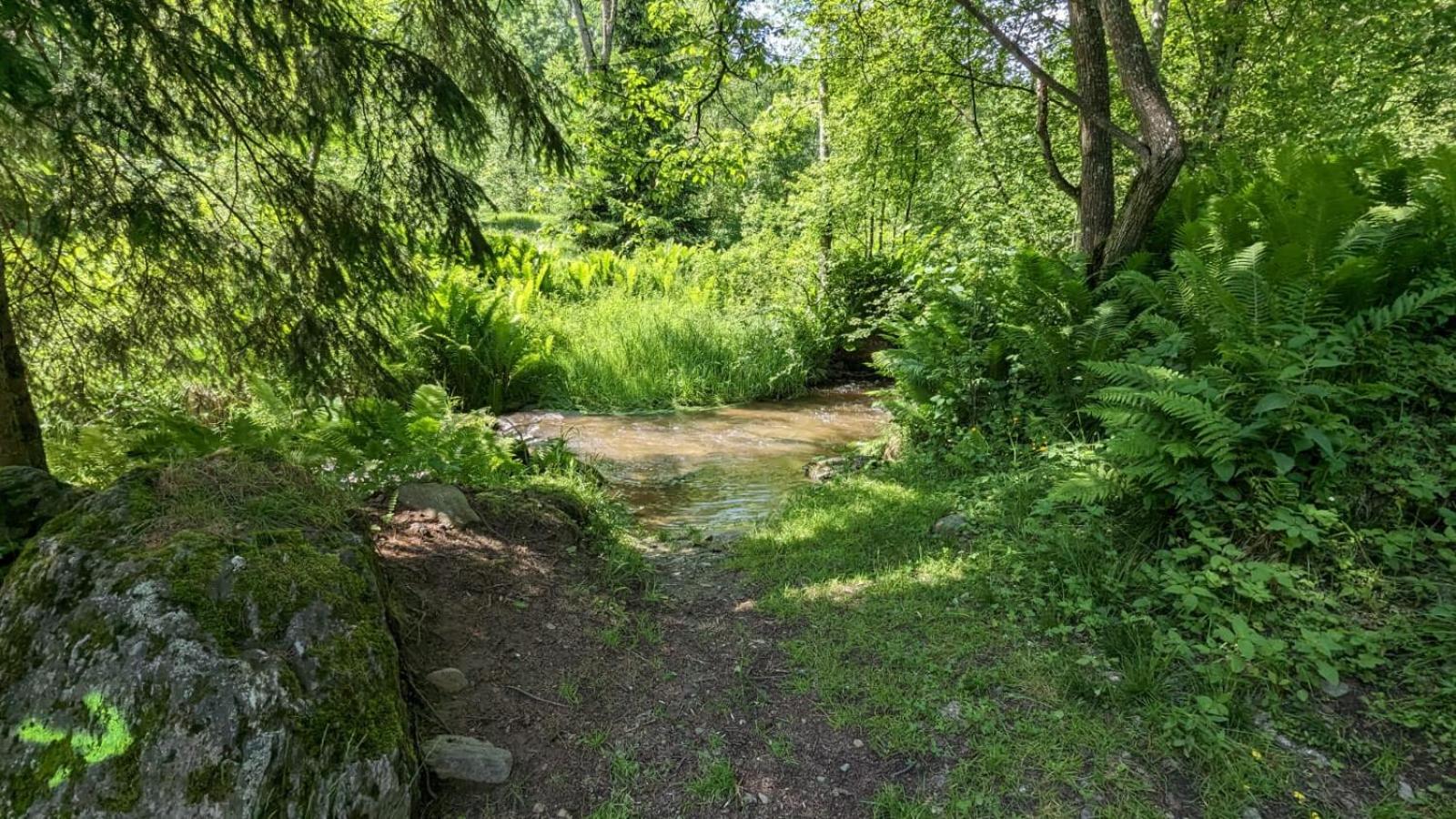 Ferienwohnung in der Natur