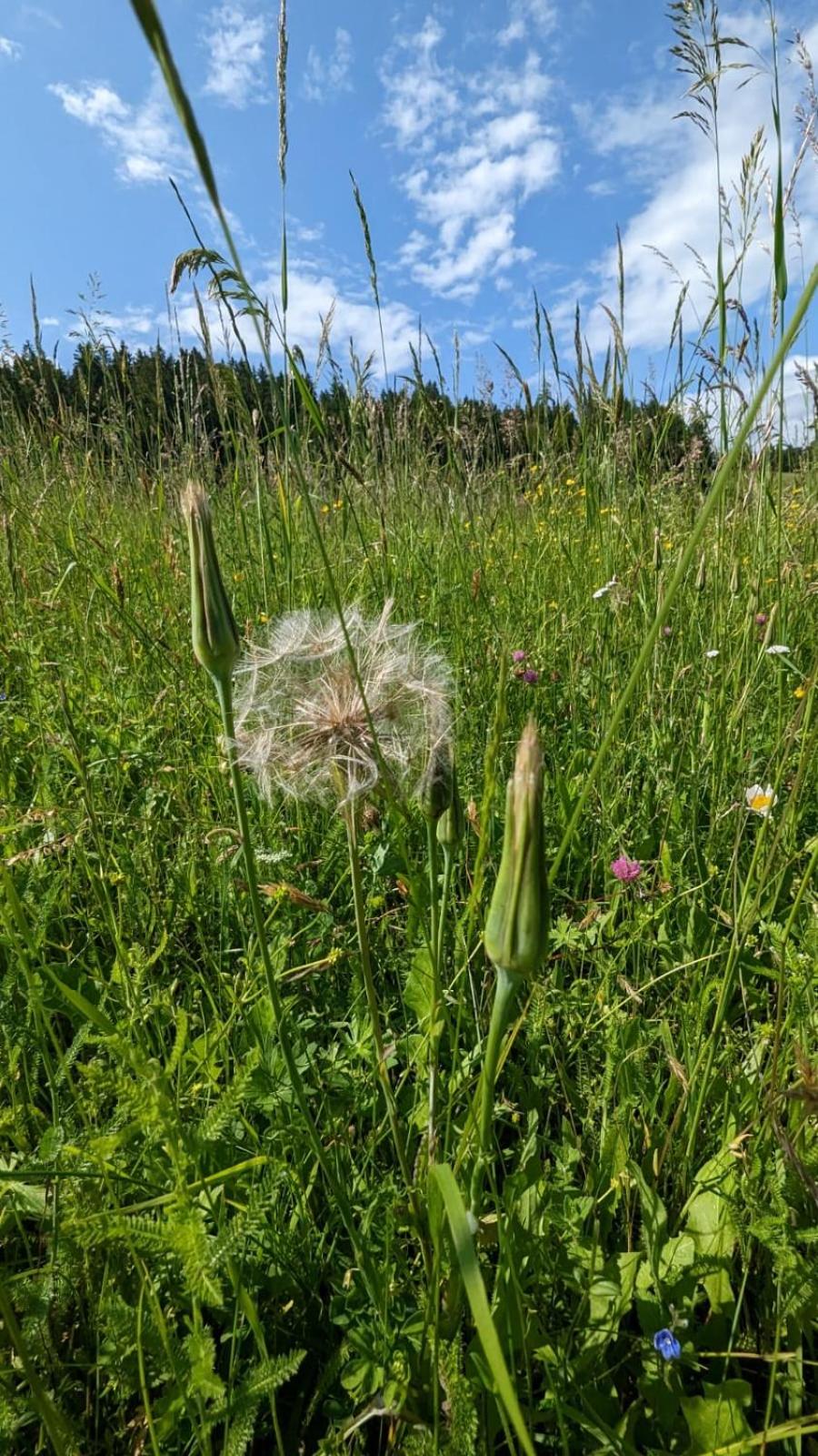 Ferienwohnung in der Natur