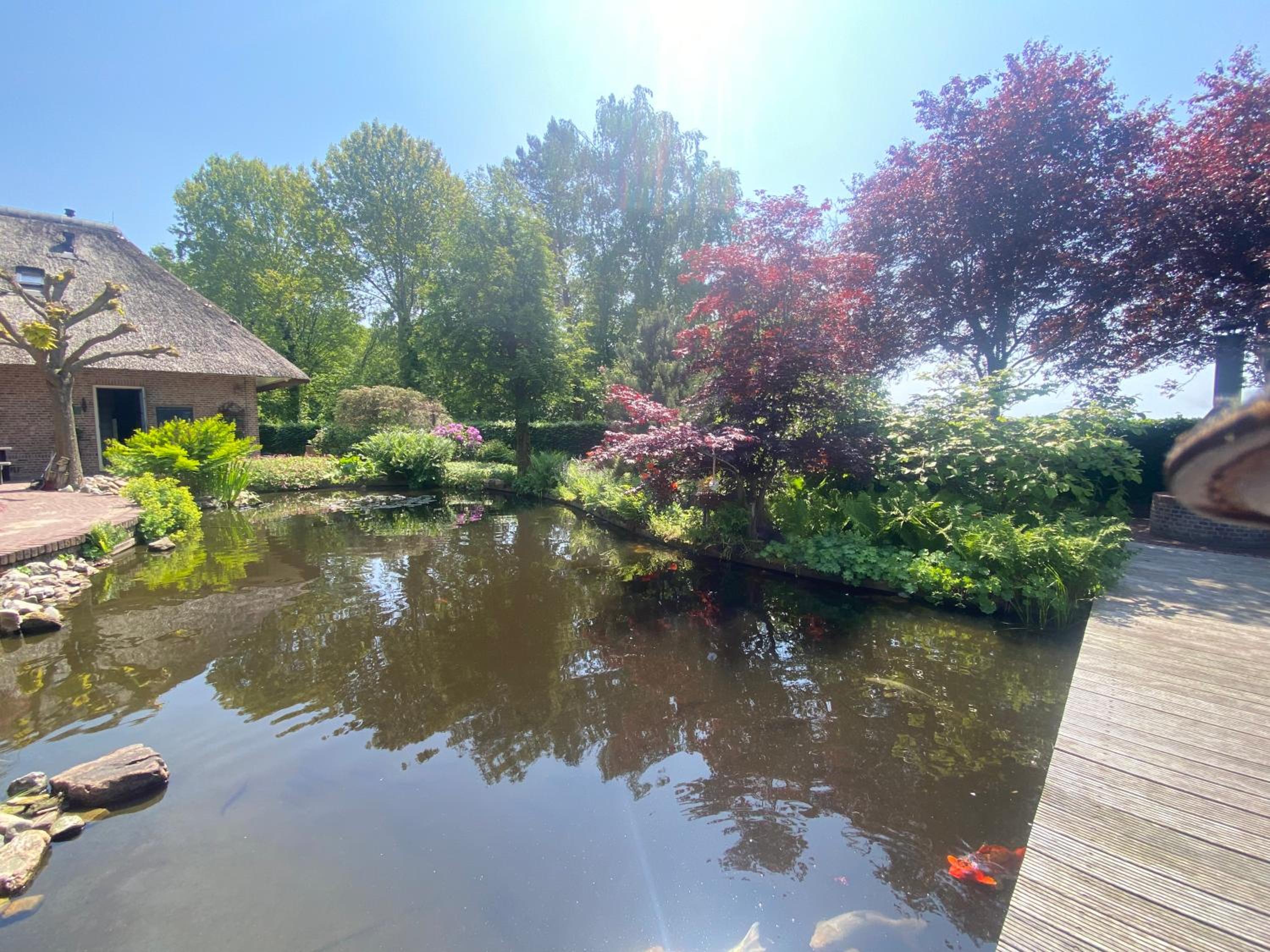 B&B. Het Hunebed Rolde view 3