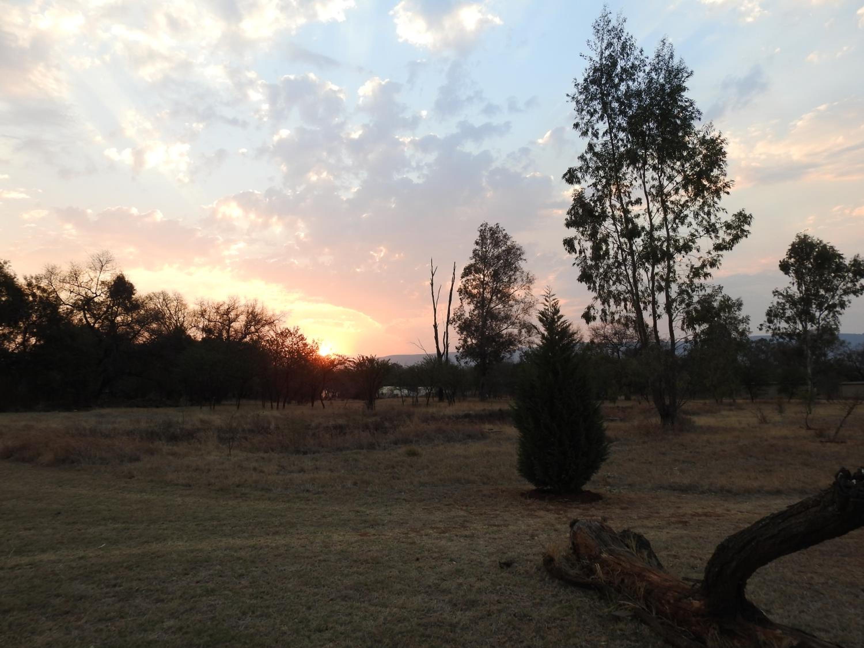 Photo 41