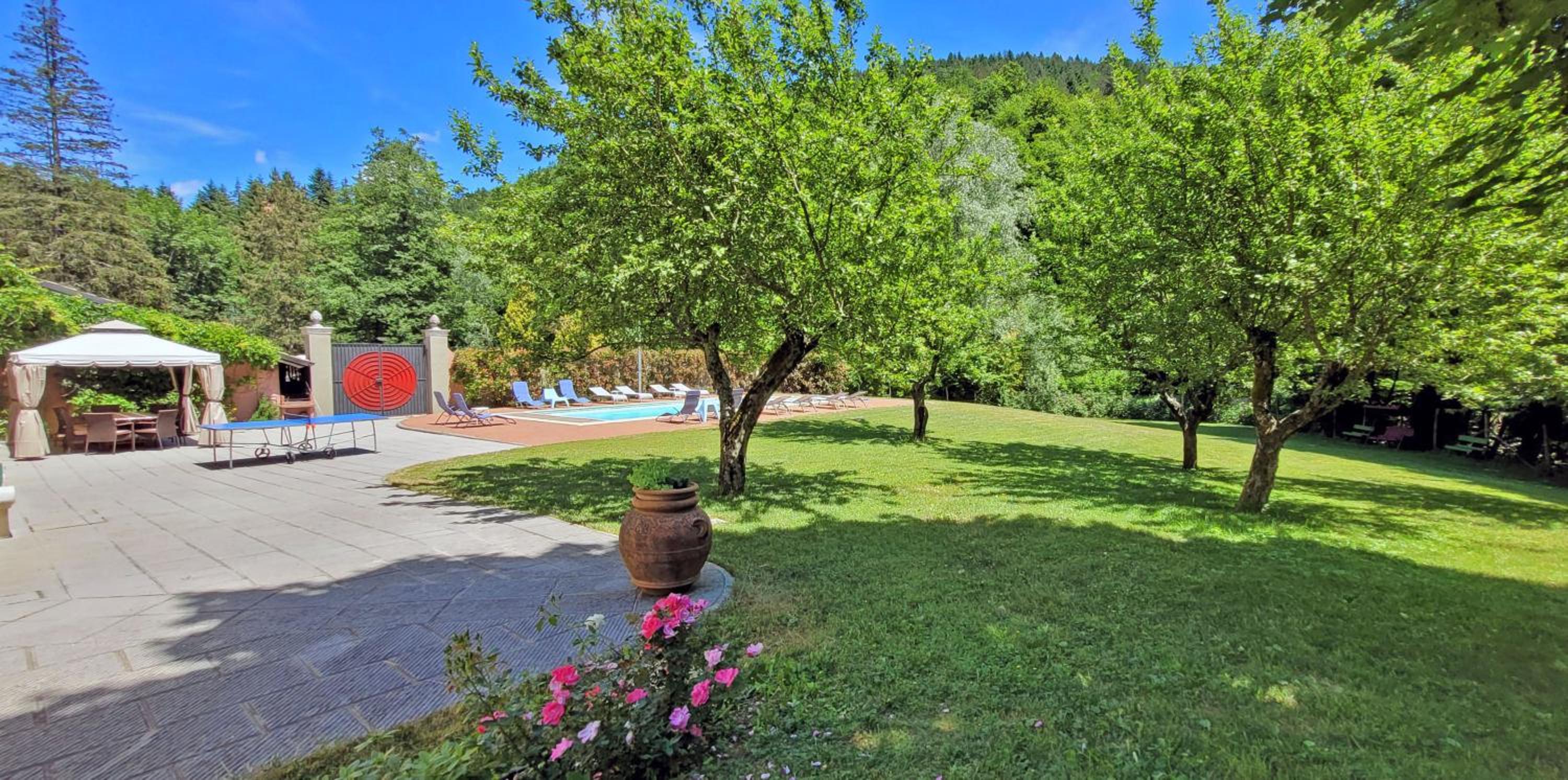 Photo 11