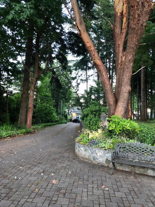 Saanichton Waterfront 2BR suite with superb views