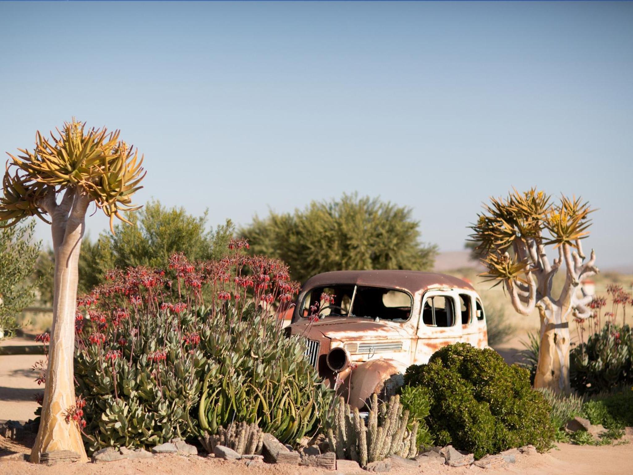 Gondwana Canyon Roadhouse view 2