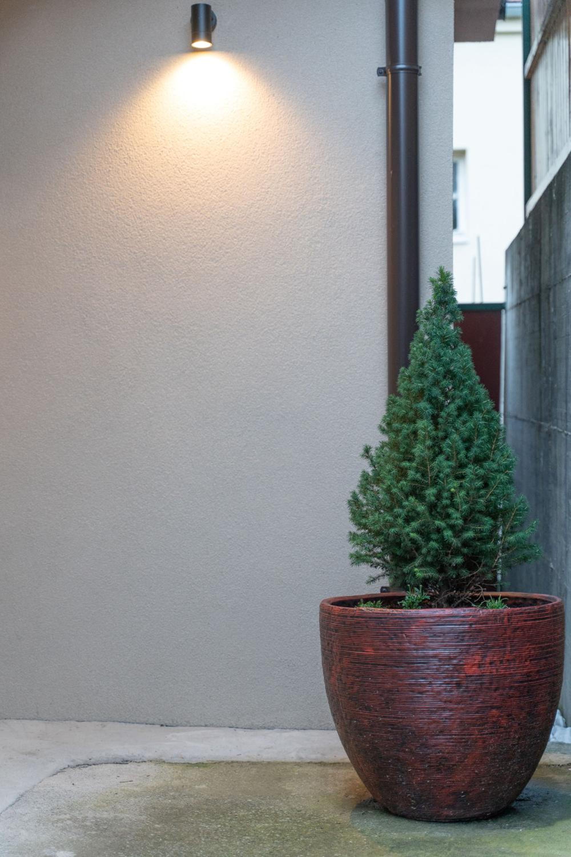 Photo 31