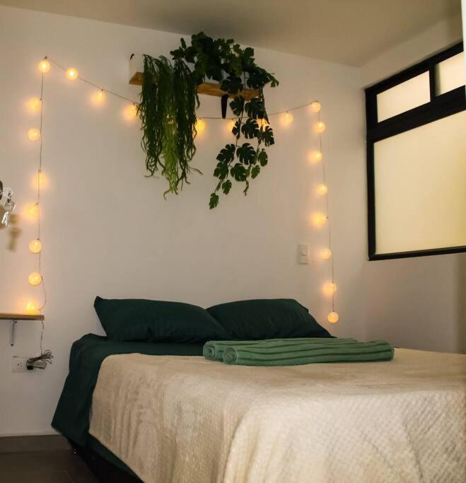 Nativo House amplio y acogedo