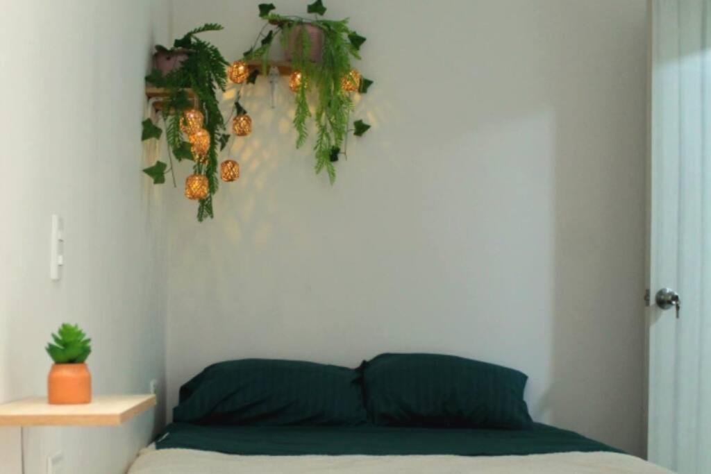Nativo House amplio y acogedo