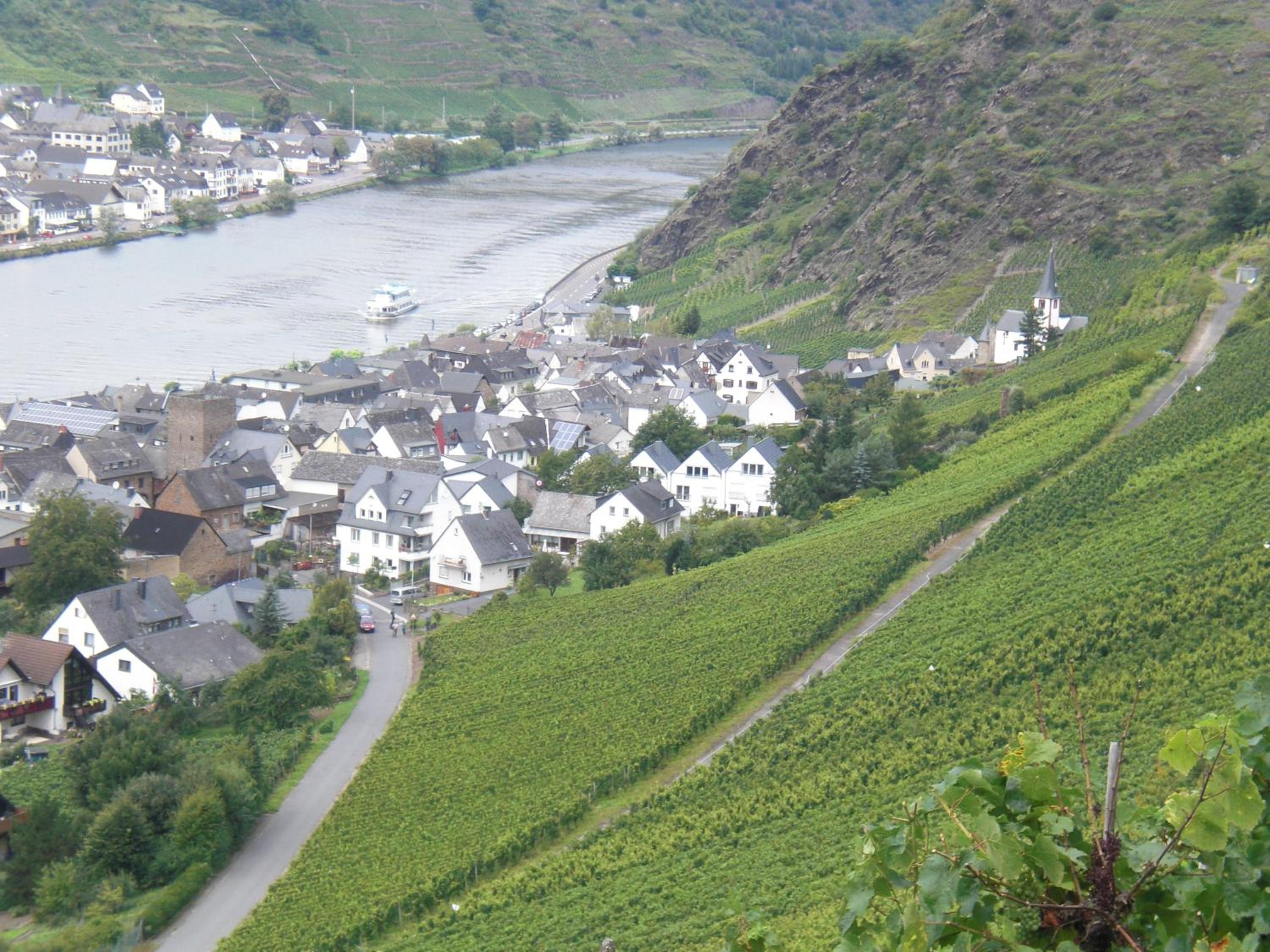 Alkener Elfenhaus mit kostenlosen Gäste Ticket