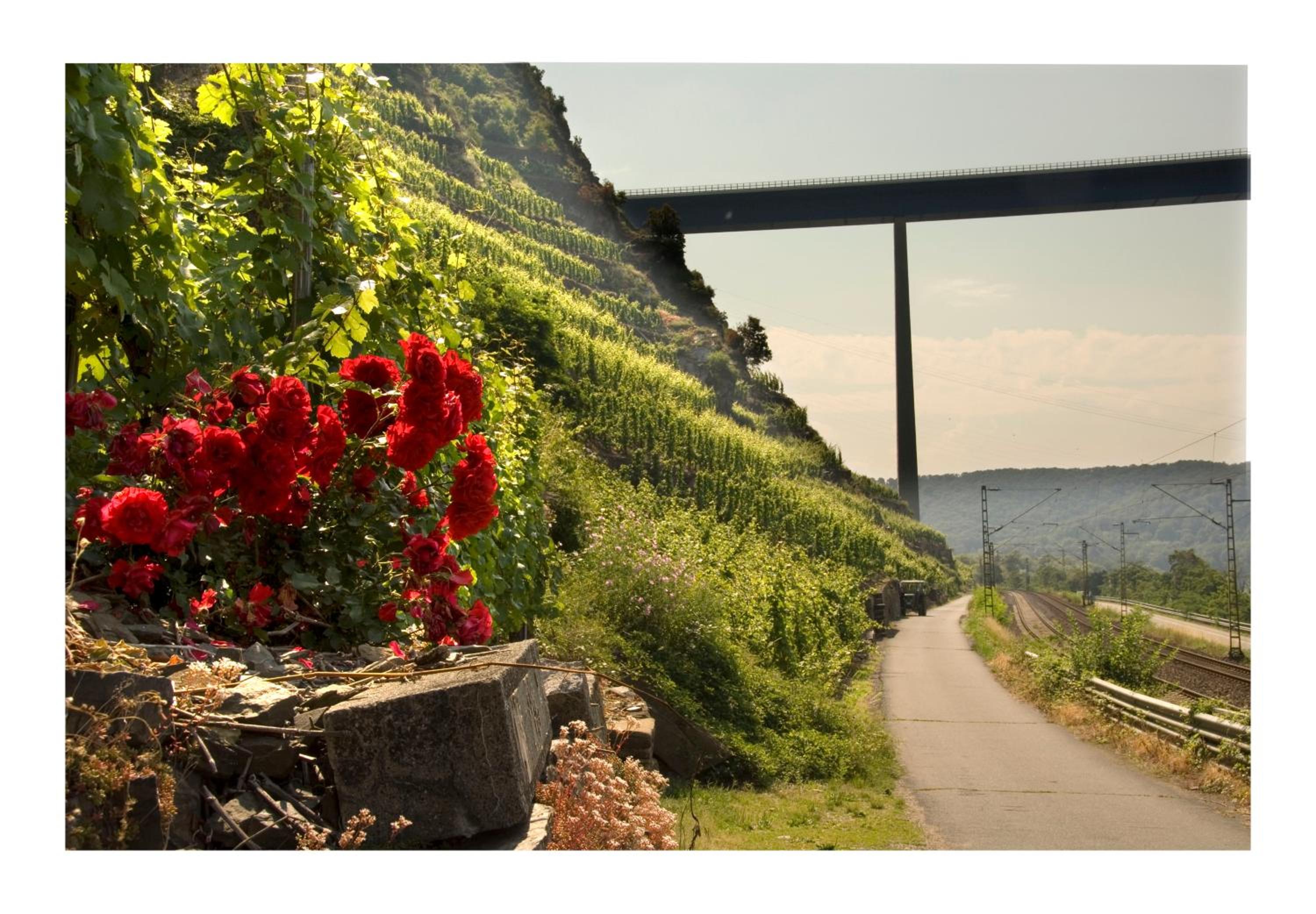 Alkener Elfenhaus mit kostenlosen Gäste Ticket
