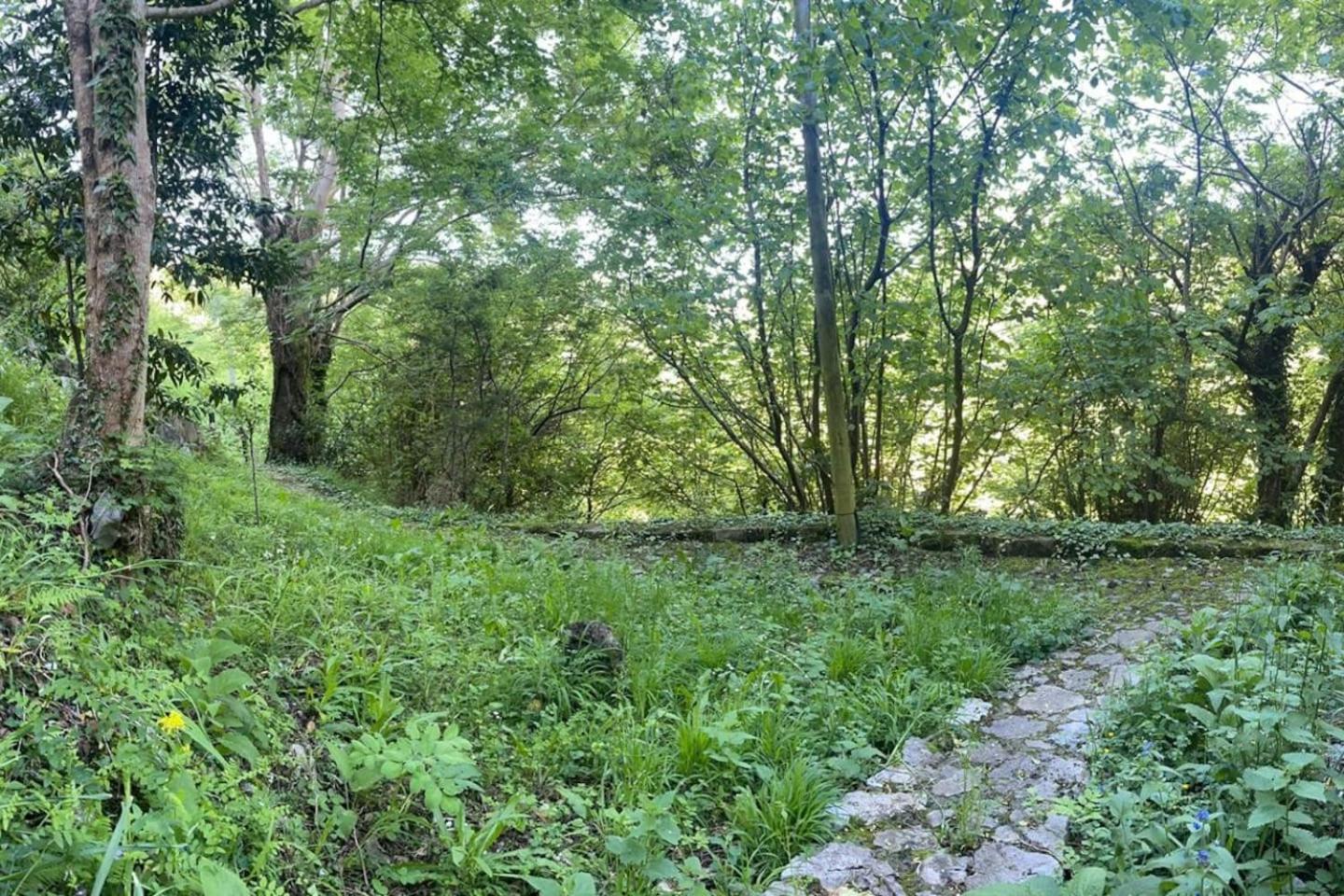 Casa del Conde 2 - Ajanedo - Property Image 23