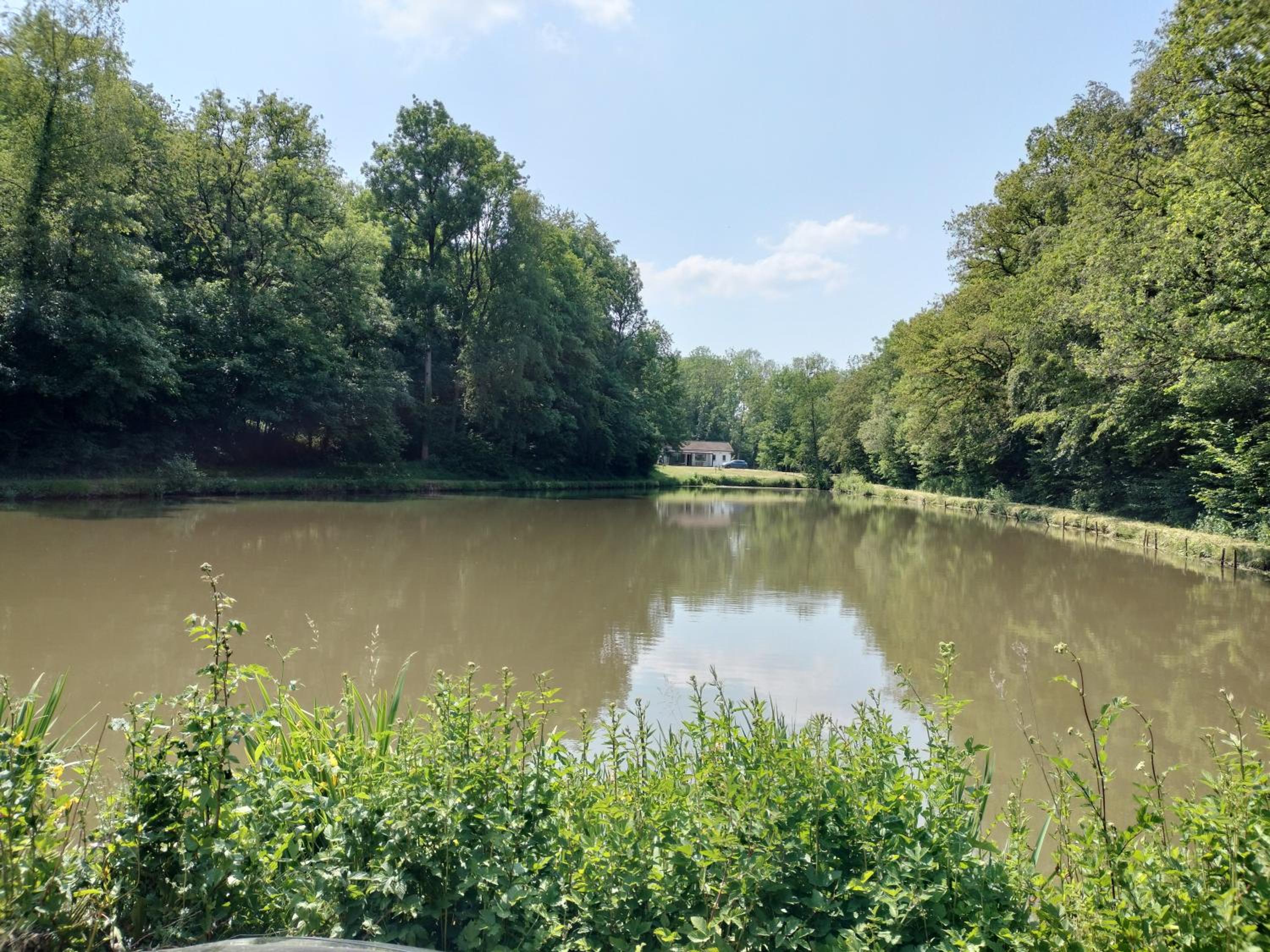 Deux étangs poissonneux au milieu des bois avec gîte moderne, la halte des deux lacs