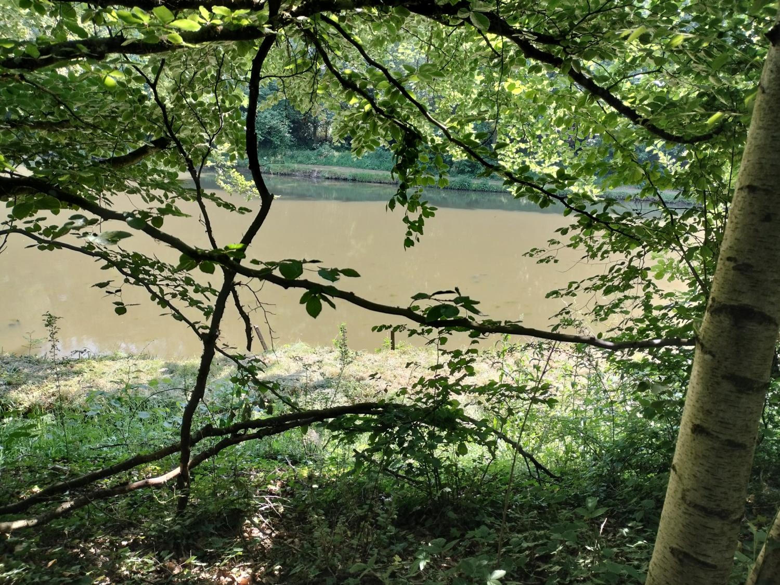 Deux étangs poissonneux au milieu des bois avec gîte moderne, la halte des deux lacs