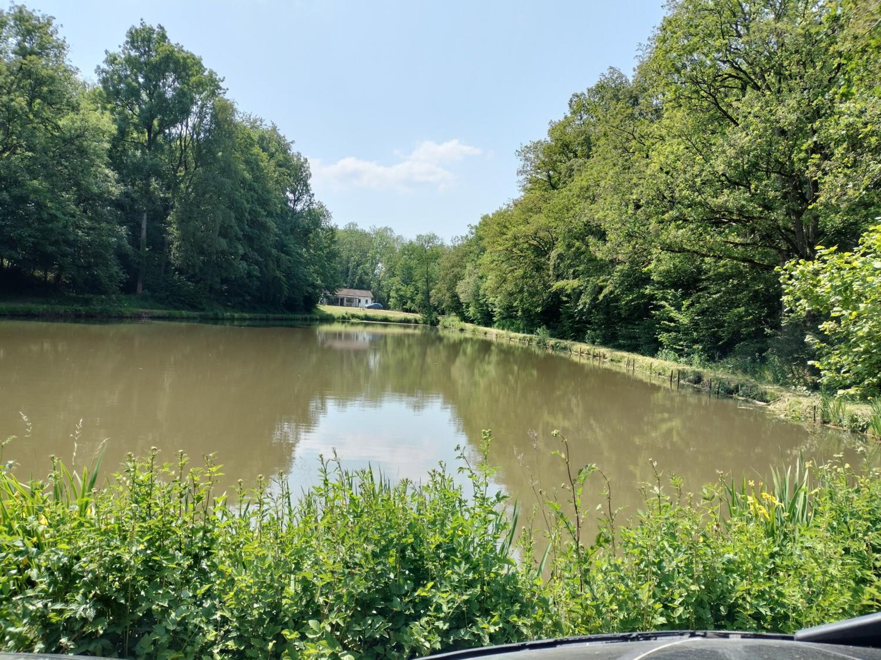 Deux étangs poissonneux au milieu des bois avec gîte moderne, la halte des deux lacs