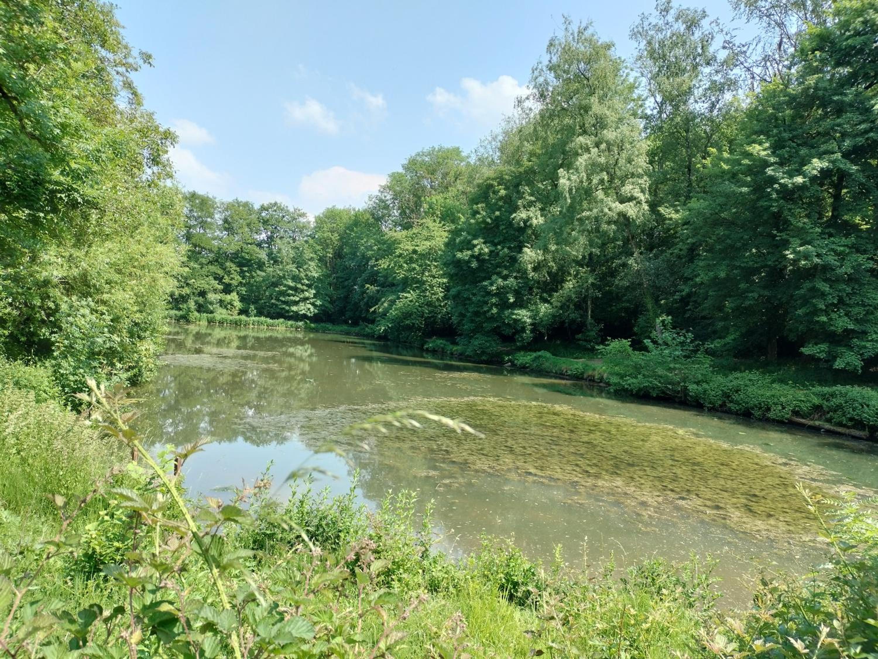 Deux étangs poissonneux au milieu des bois avec gîte moderne, la halte des deux lacs