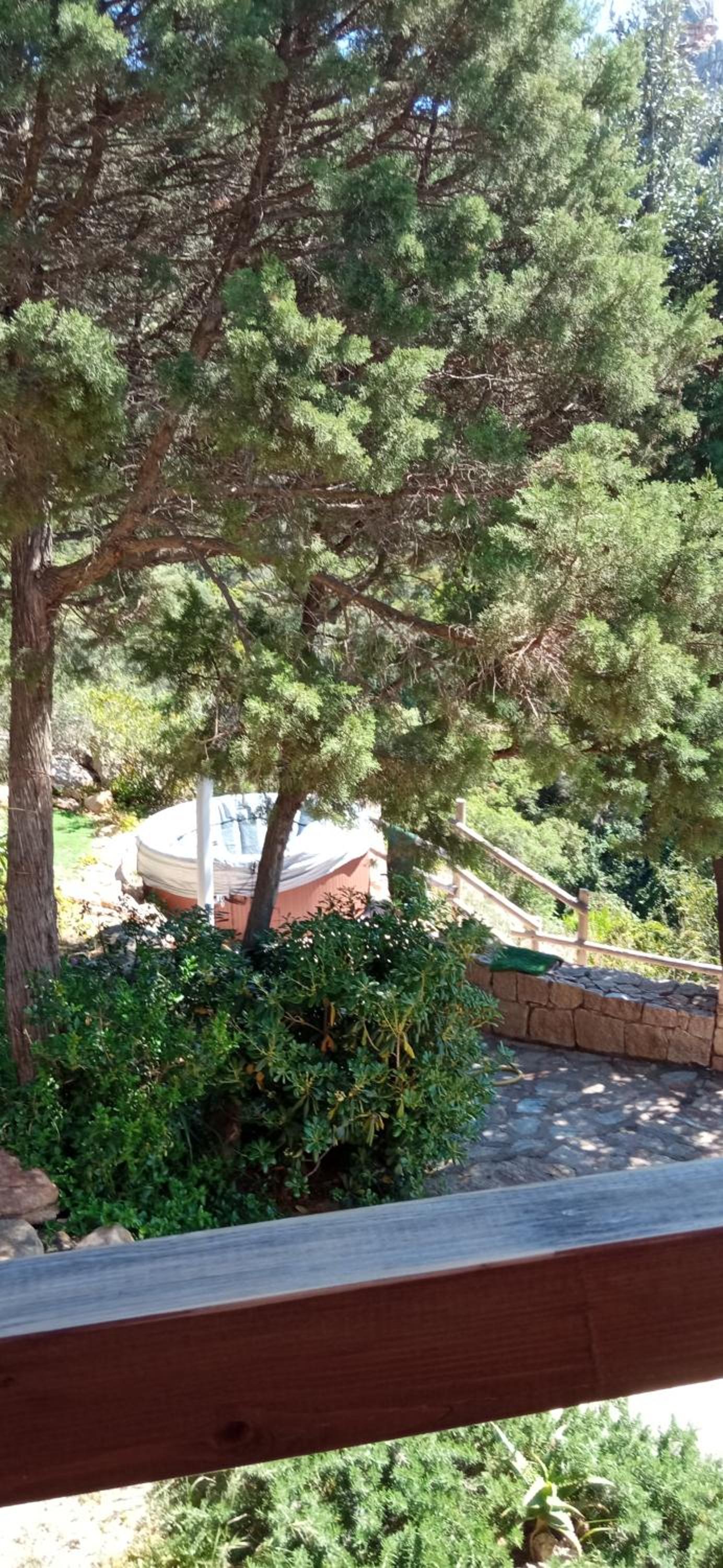 villa aloe 2