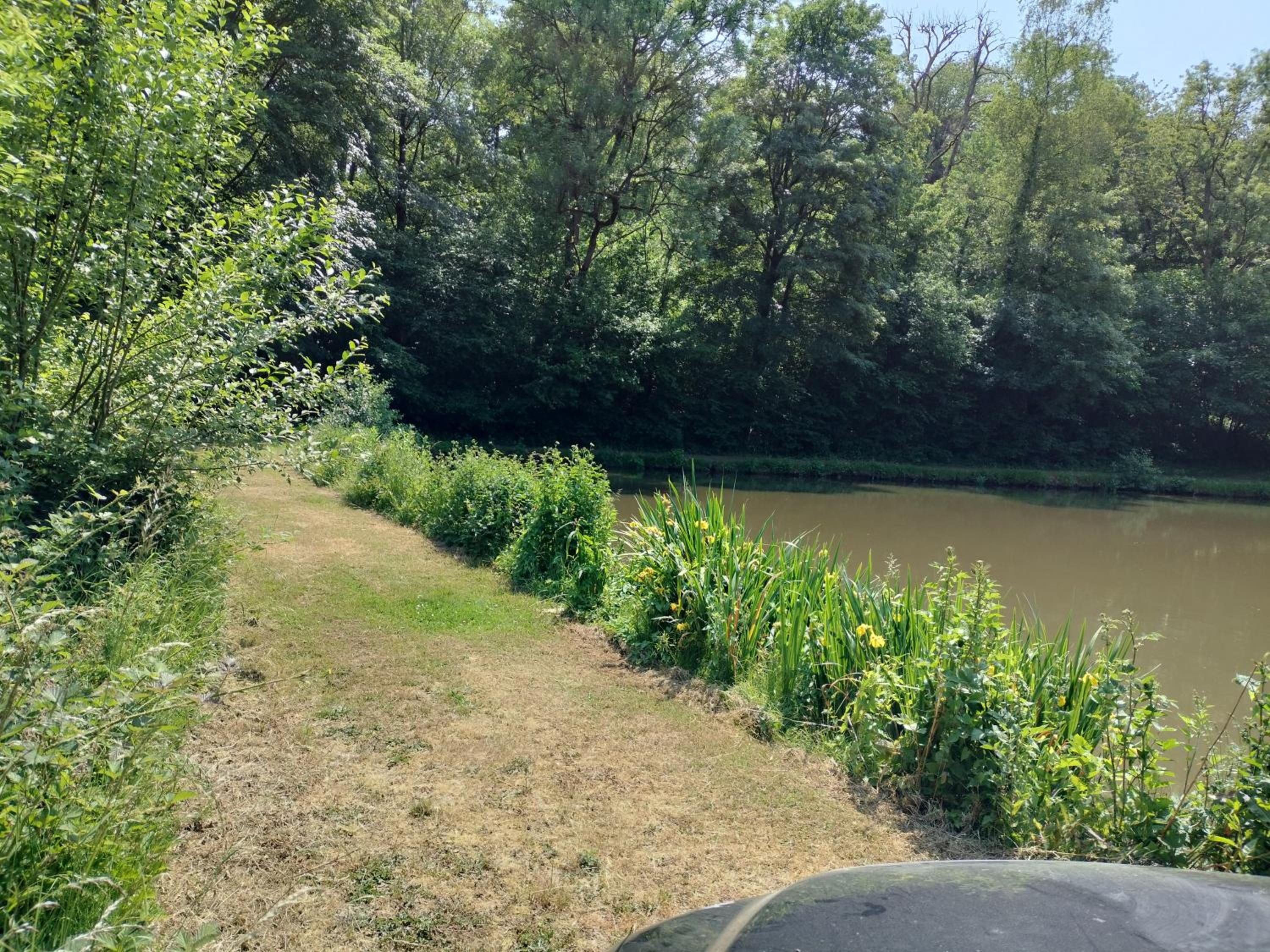 Deux étangs poissonneux au milieu des bois avec gîte moderne, la halte des deux lacs