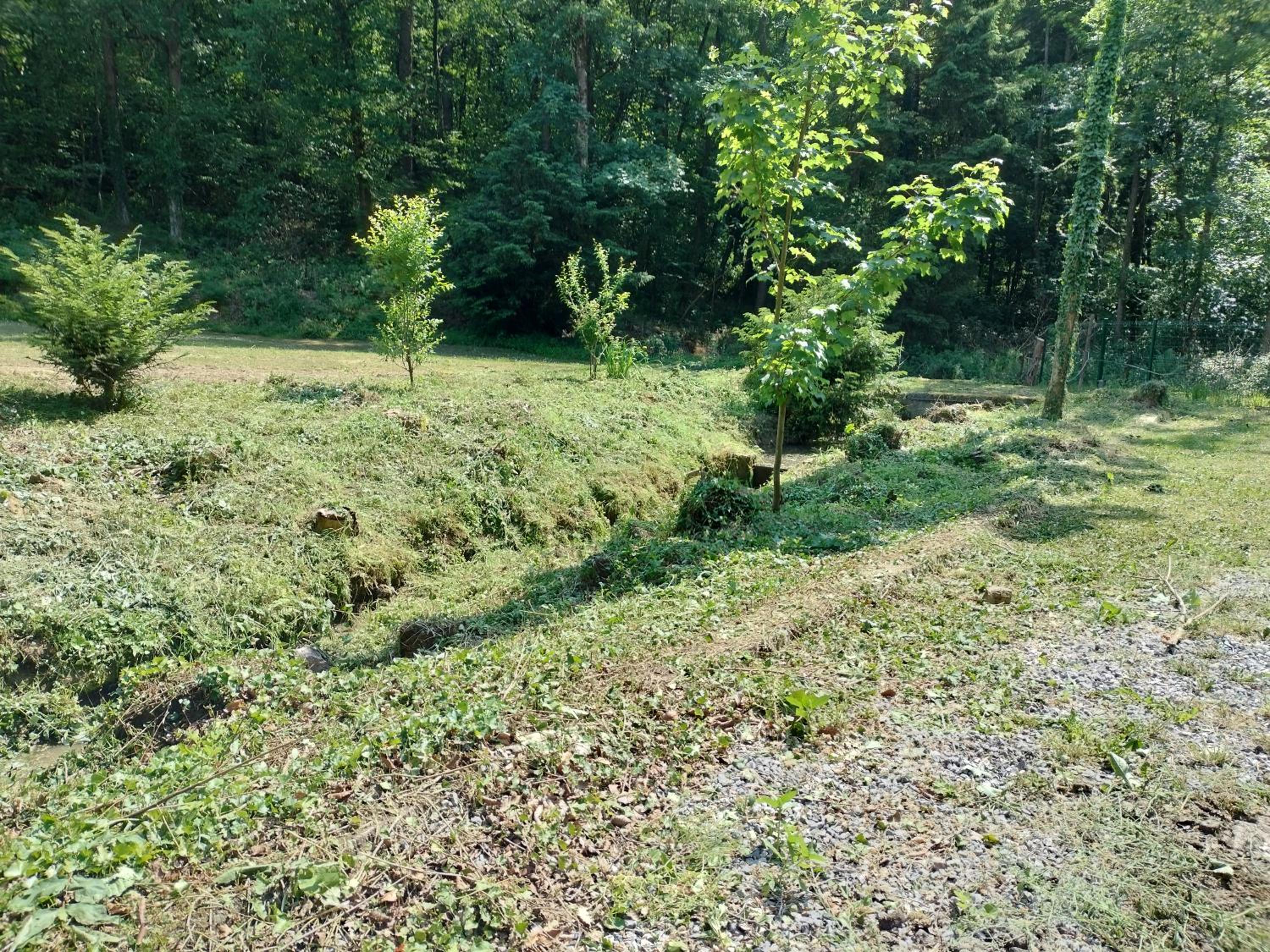 Deux étangs poissonneux au milieu des bois avec gîte moderne, la halte des deux lacs