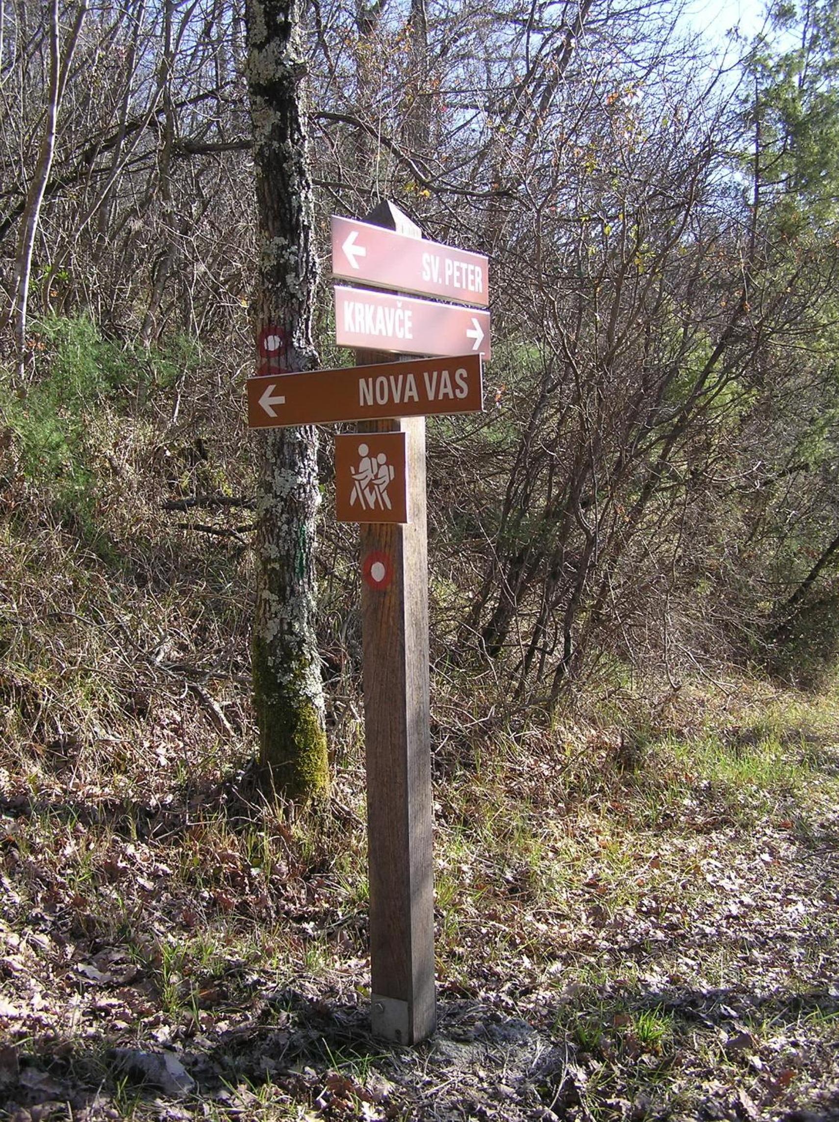Photo 42