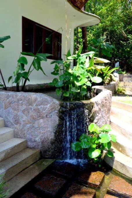 Monkey Flower Villas