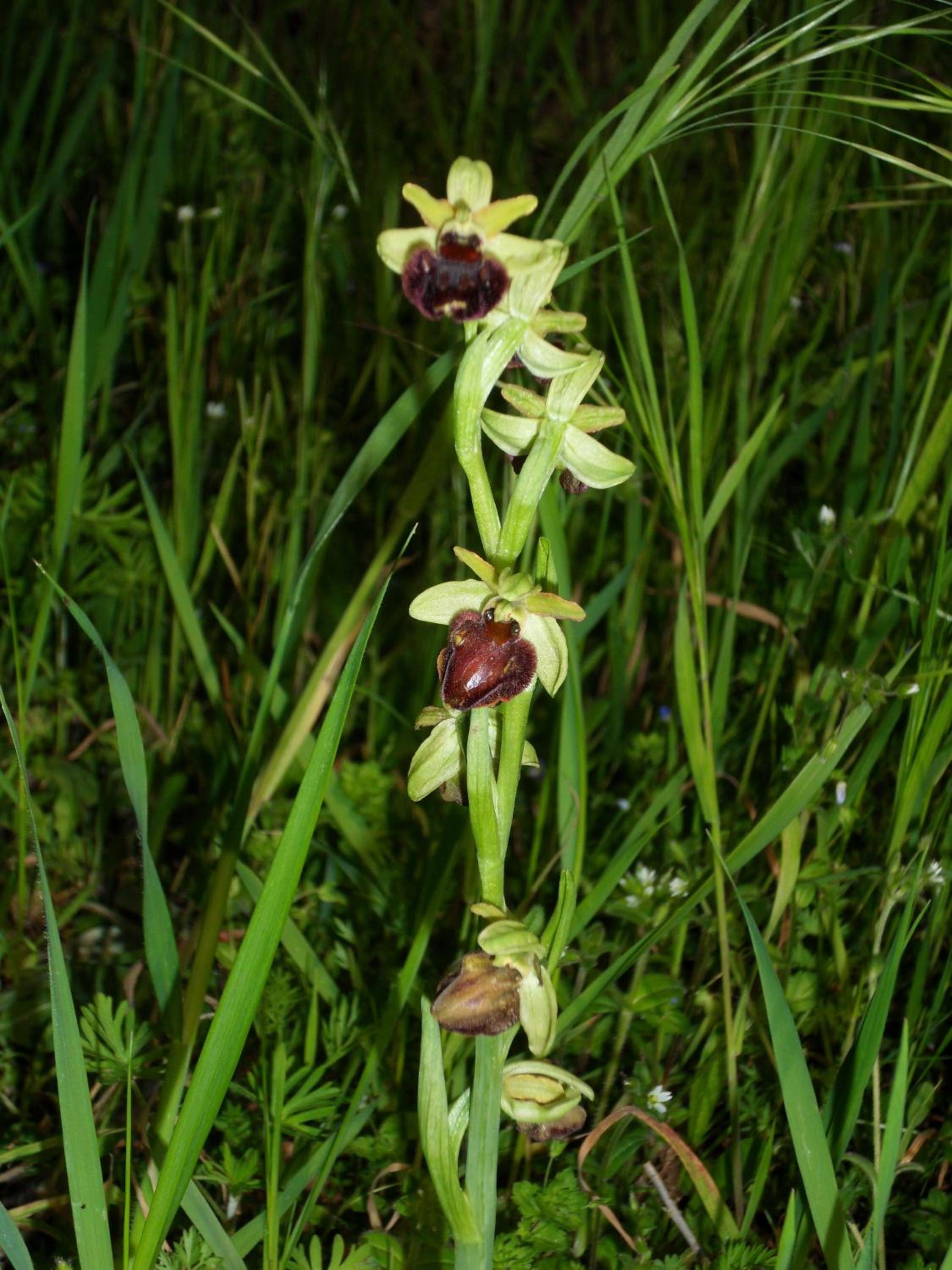 Photo 13