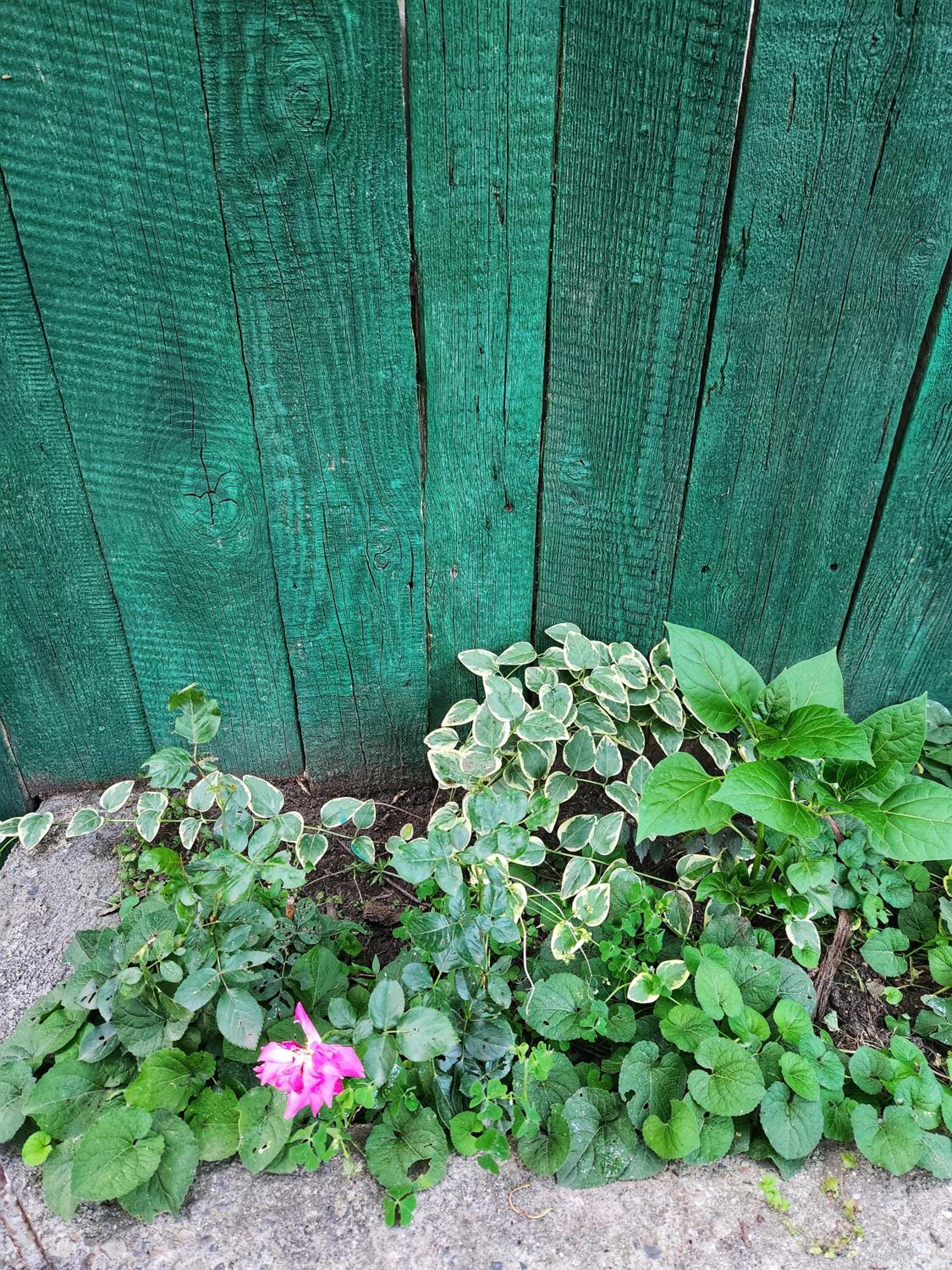 Photo 28