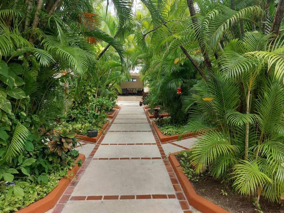 Villas Cozumel #9 view 2
