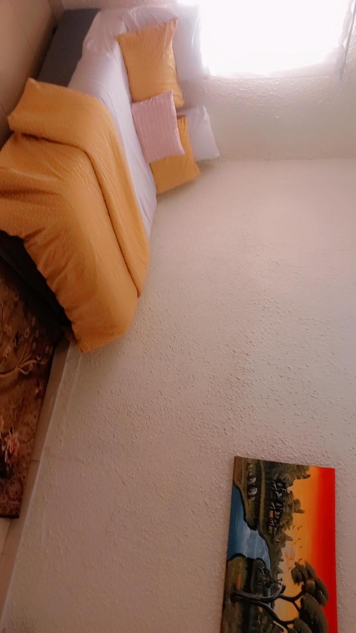 Johannesburg Vacations - MILLY GUEST HOUSE - Property Image 52