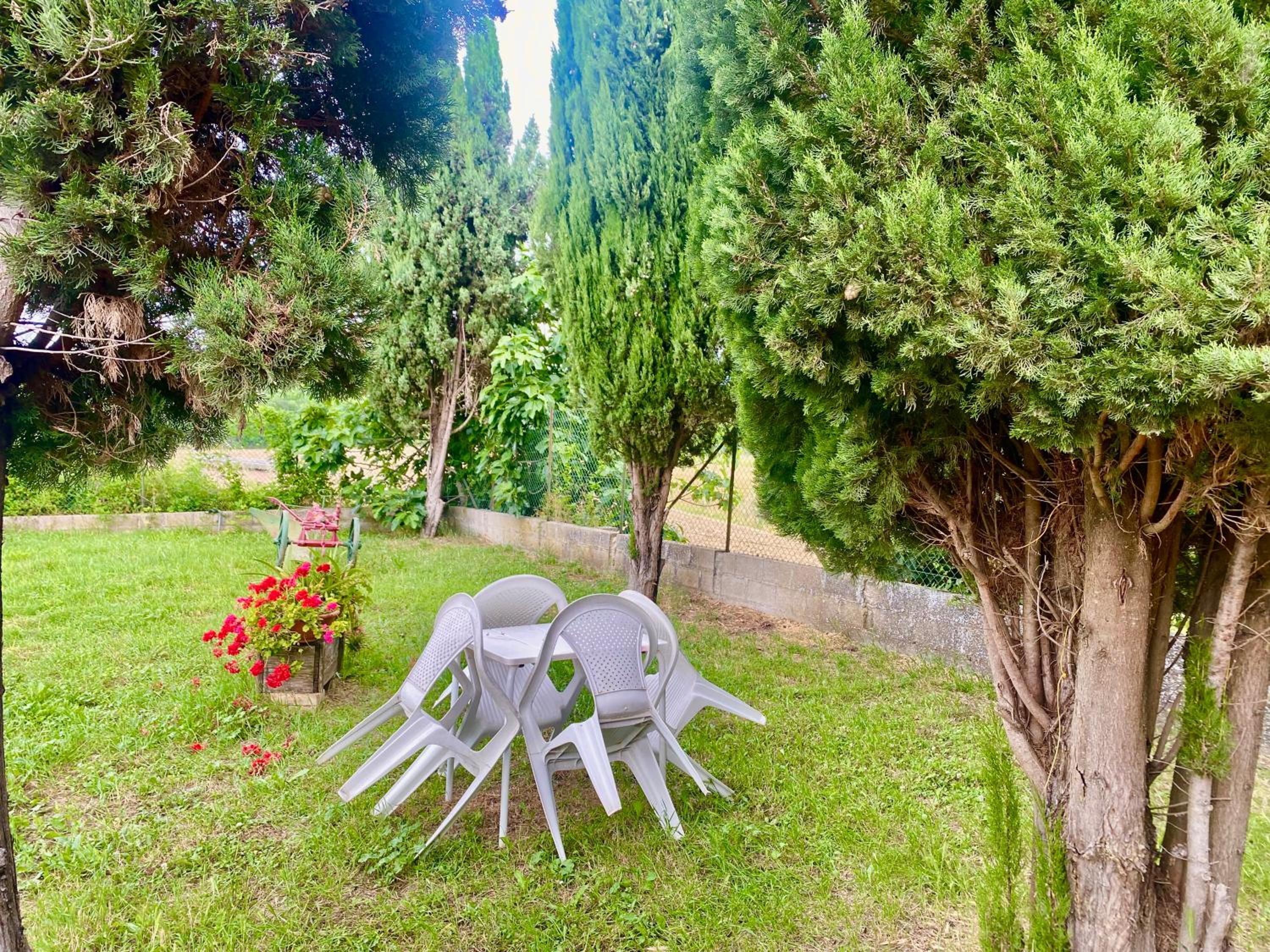 Photo 18