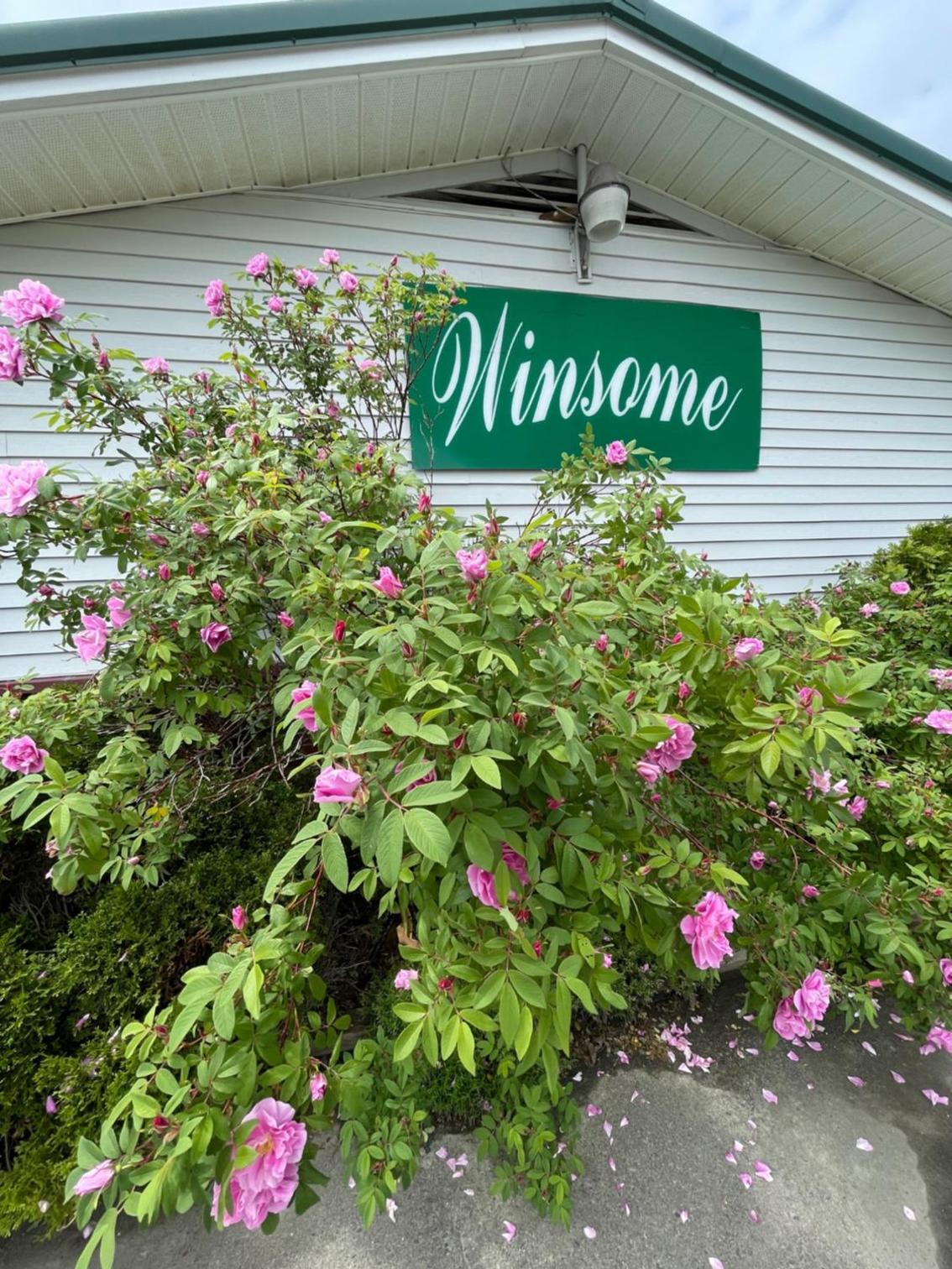 Winsome Inn