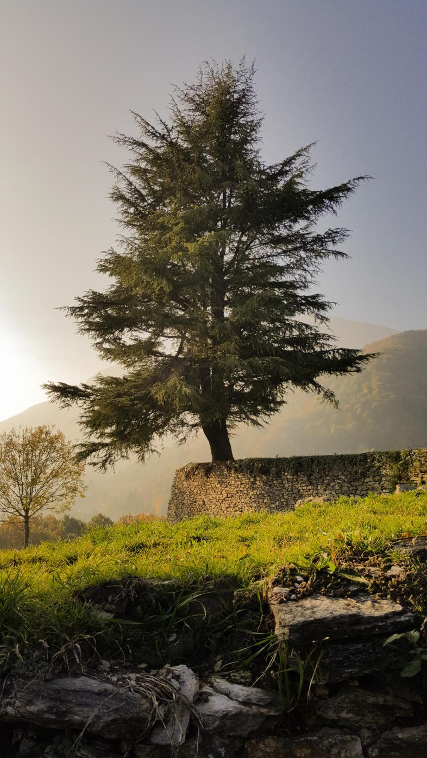 Cascina del Forte