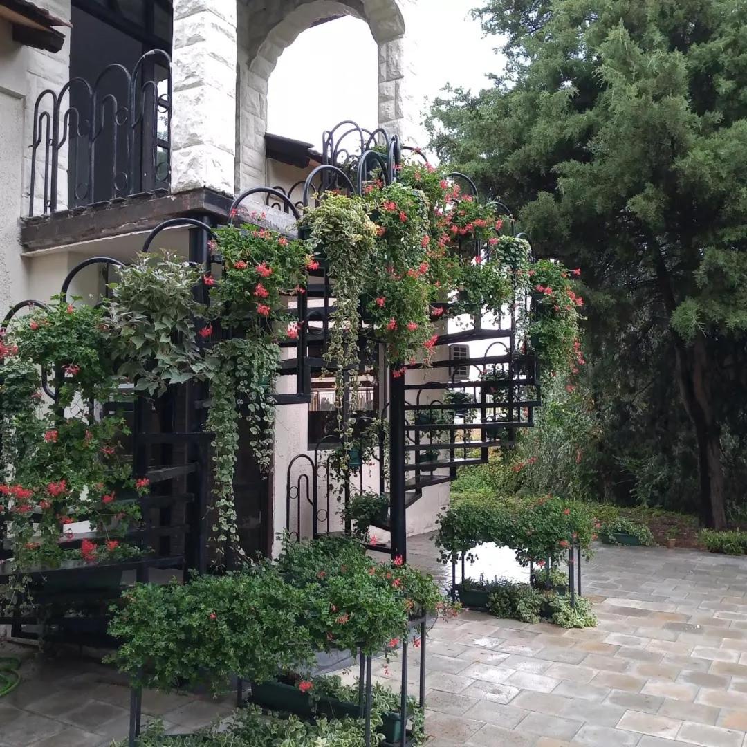 Photo 8