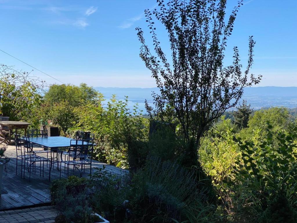 Petite maison à l'orée des bois vue magnifique sur le lac zenitude et plénitude