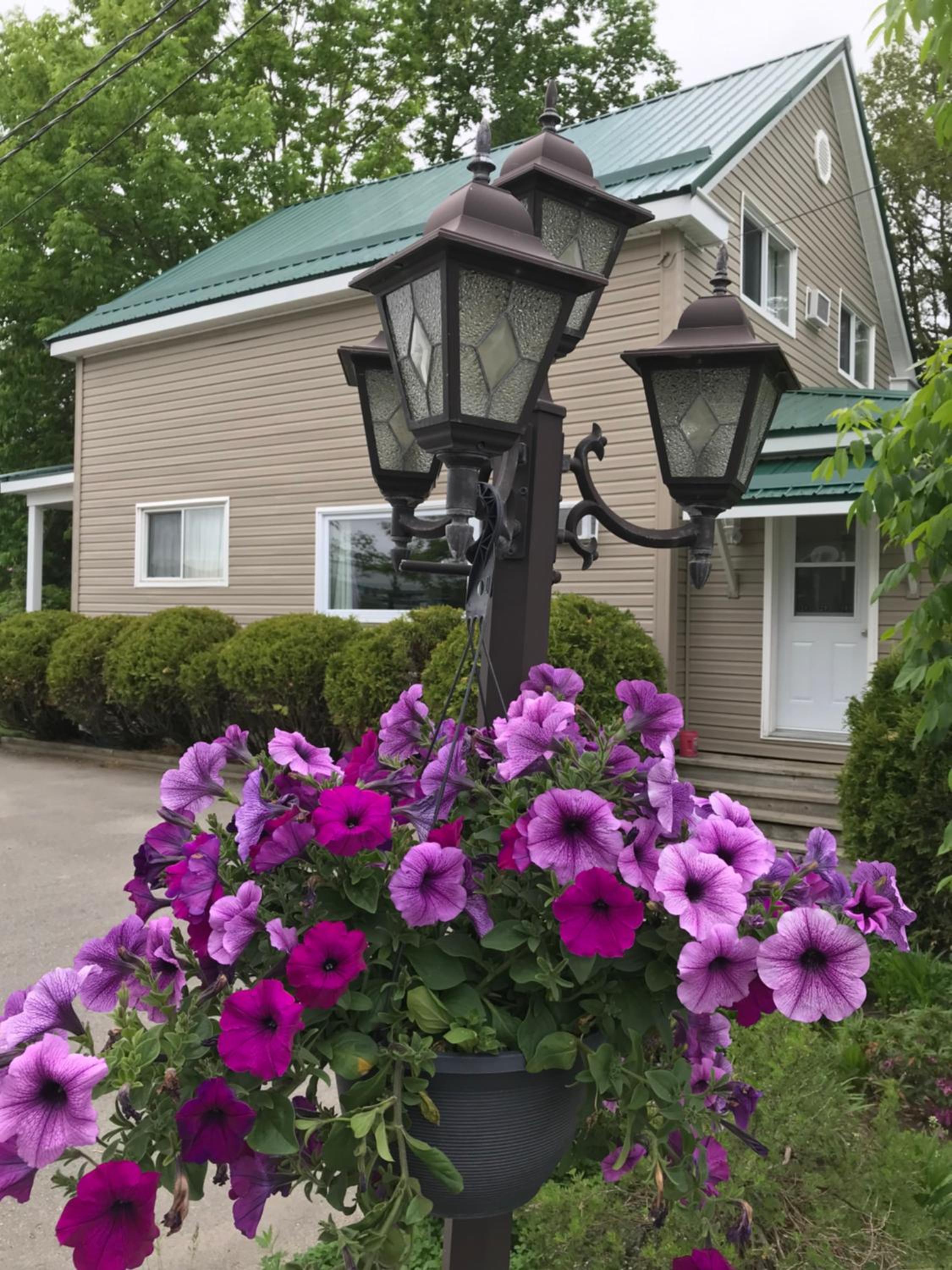 Winsome Inn
