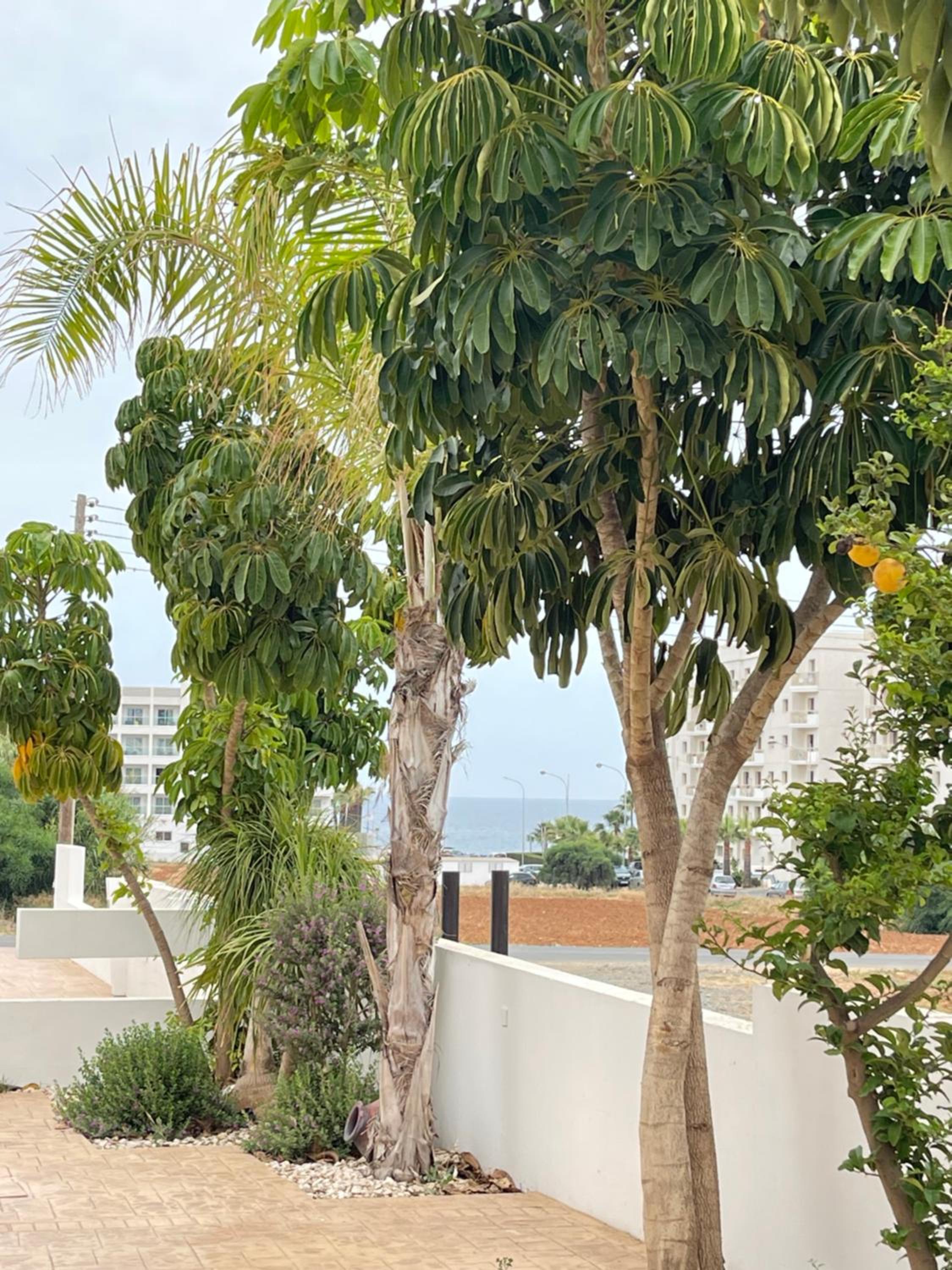 Tonia Seaview Villas