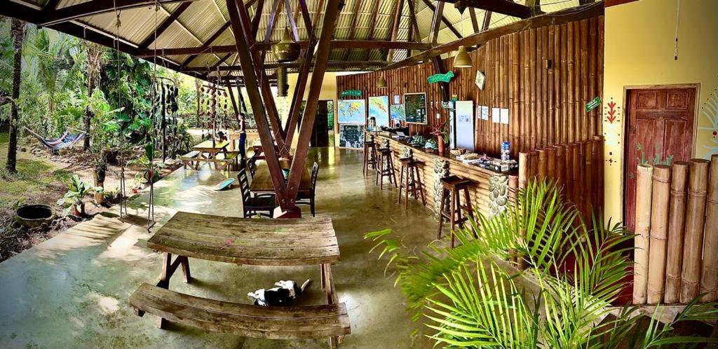 Luminosa Uvita Hostel