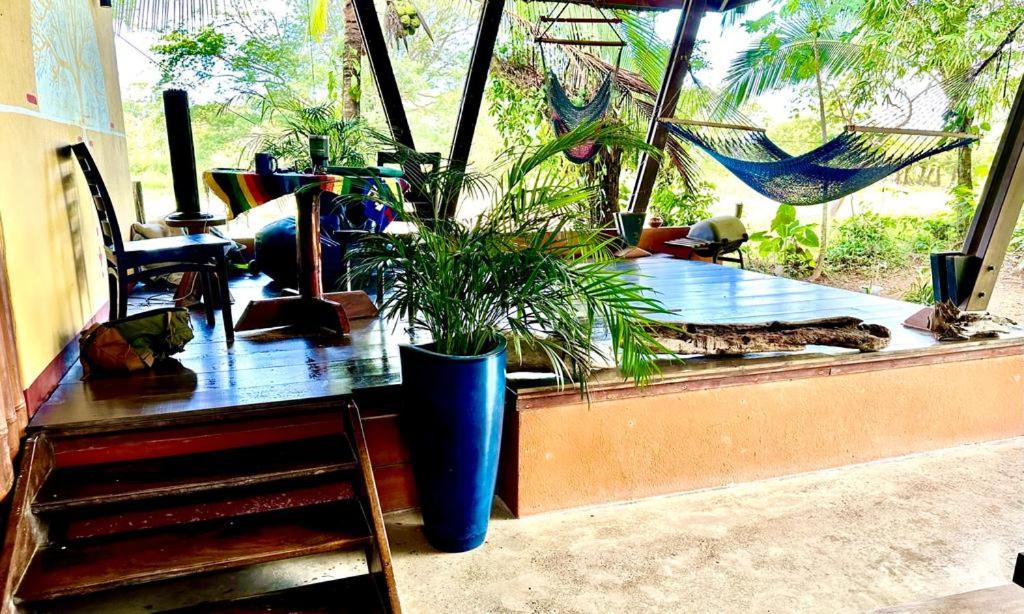 Luminosa Uvita Hostel