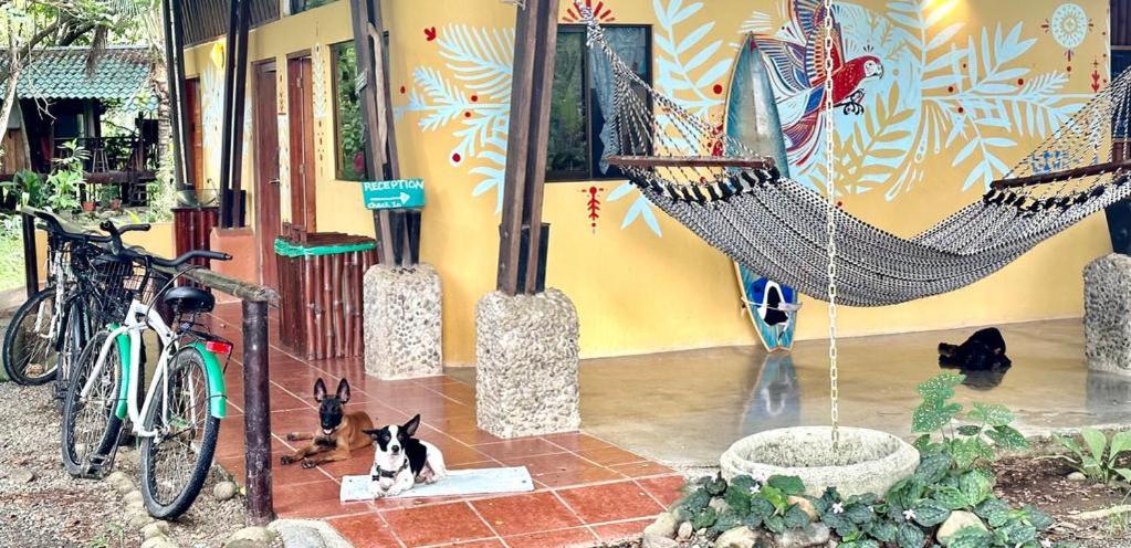 Luminosa Uvita Hostel