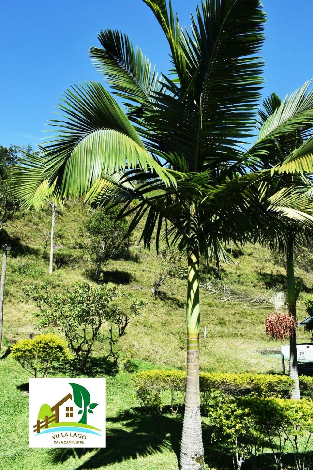 Casa Campestre Villa Lago