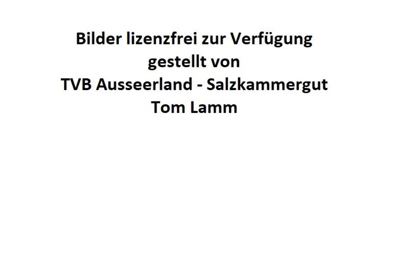 Die alte Salzvilla